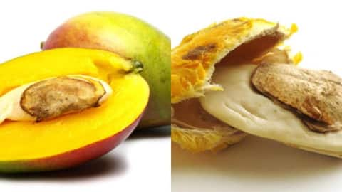 Tips: మామిడి గింజలతో అద్భుత ఆరోగ్య ప్రయోజనాలు..