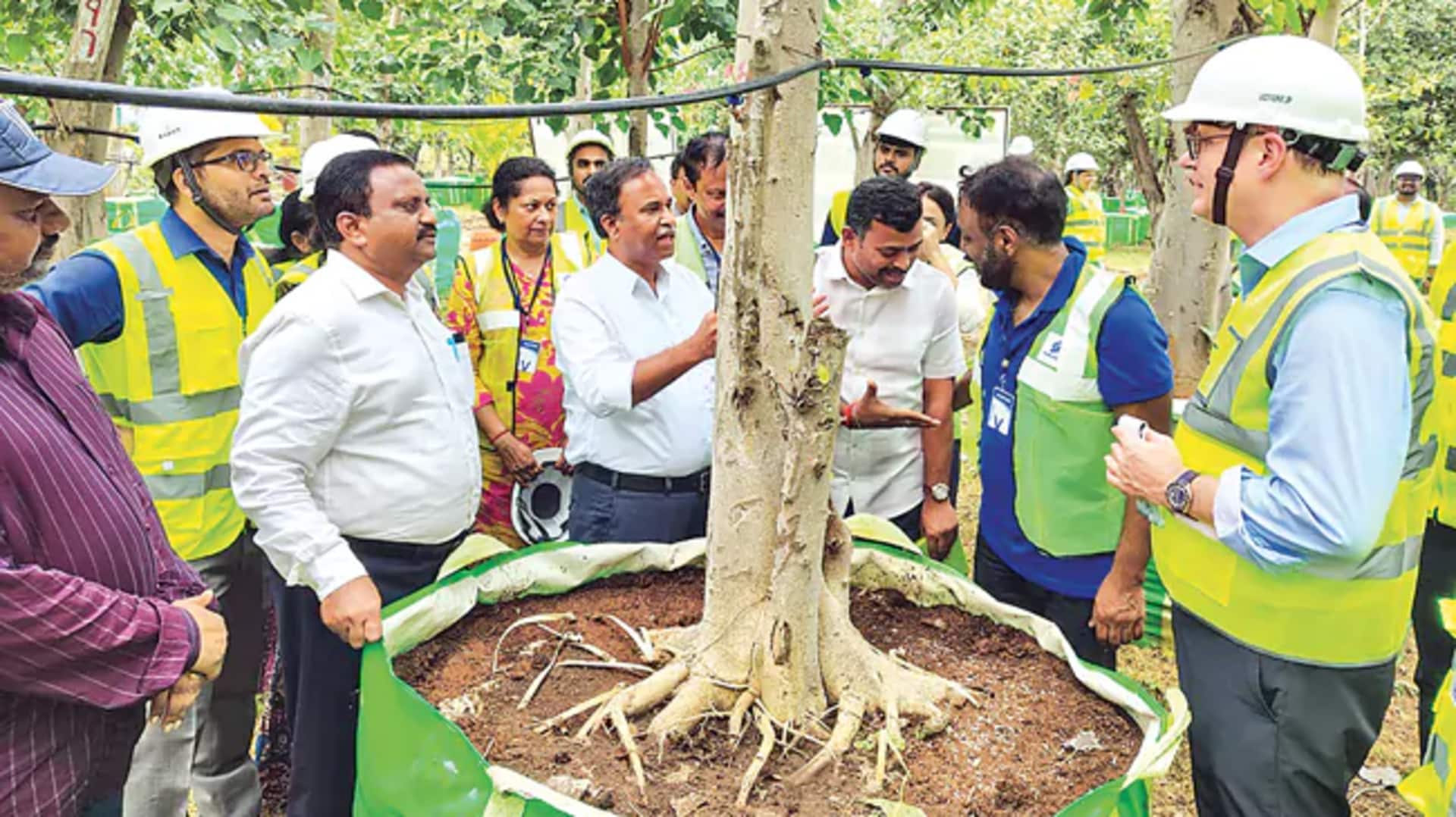 Amaravati: అమరావతి 'ట్రాన్స్లొకేషన్ నర్సరీ' విధానాన్ని ప్రశంసించిన ప్రపంచ,ఏడీబీ బ్యాంకుప్రతినిధులు Amaravati: అమరావతి 'ట్రాన్స్లొకేషన్ నర్సరీ' విధానాన్ని ప్రశంసించిన ప్రపంచ,ఏడీబీ బ్యాంకుప్రతినిధులు