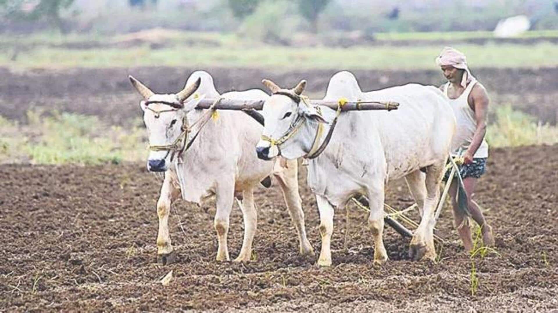 Telangana: రాష్ట్రంలో మొదలైన వానాకాలం సీజన్.. నారు పోస్తూ.. దుక్కులు దున్నుతూ పొలాల్లో రైతులు Telangana: రాష్ట్రంలో మొదలైన వానాకాలం సీజన్.. నారు పోస్తూ.. దుక్కులు దున్నుతూ పొలాల్లో రైతులు