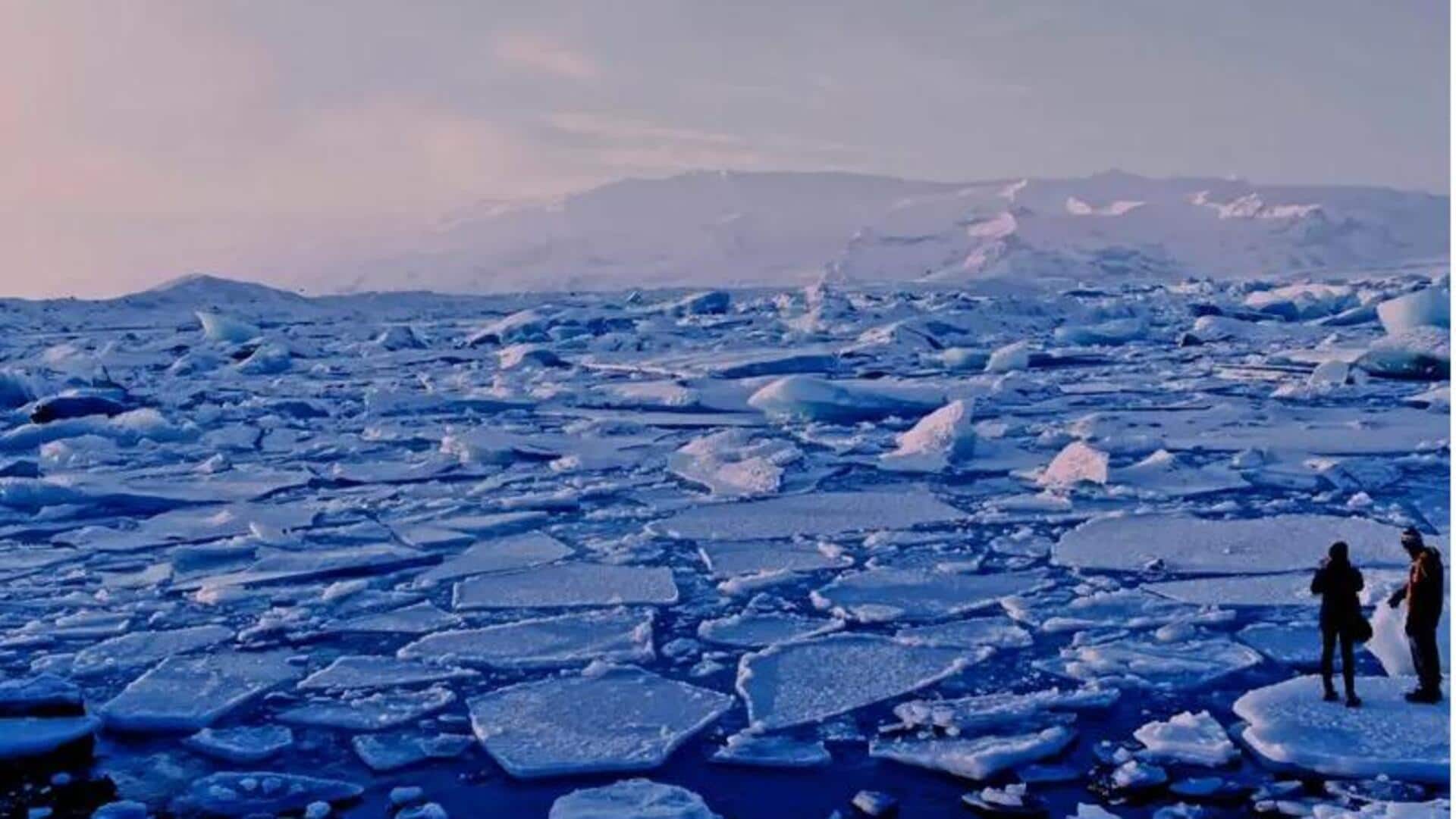 Arctic Ocean: ఆర్కిటిక్ మహాసముద్రంలో చనిపోయిందని భావించిన జీవి 'సజీవంగా,కదులుతున్నట్లు' చూసి ఆశ్చర్యపోయిన శాస్త్రవేత్తలు Arctic Ocean: ఆర్కిటిక్ మహాసముద్రంలో చనిపోయిందని భావించిన జీవి 'సజీవంగా,కదులుతున్నట్లు' చూసి ఆశ్చర్యపోయిన శాస్త్రవేత్తలు