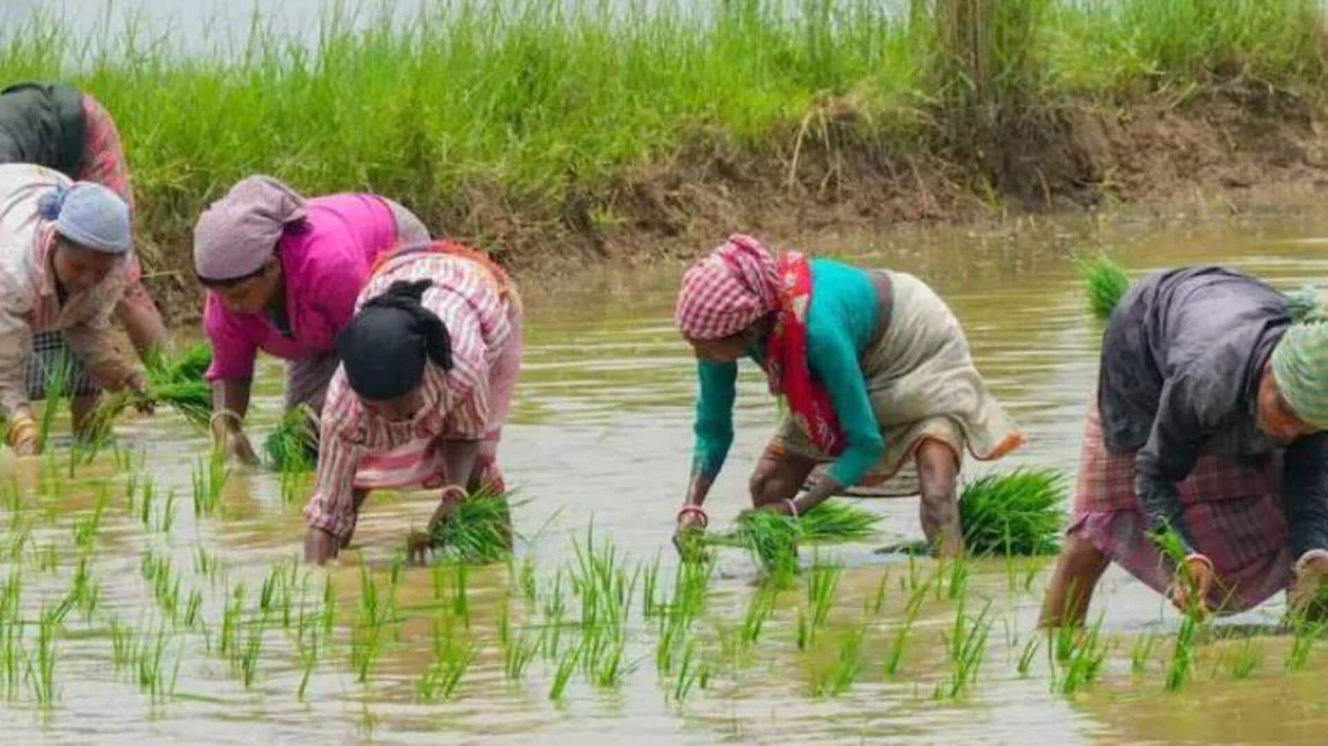 AP Govt : ఏపీ రైతులకు శుభవార్త.. వారికి రూ.25 వేలు చొప్పున సాయం : మంత్రి అచ్చెన్నాయుడు