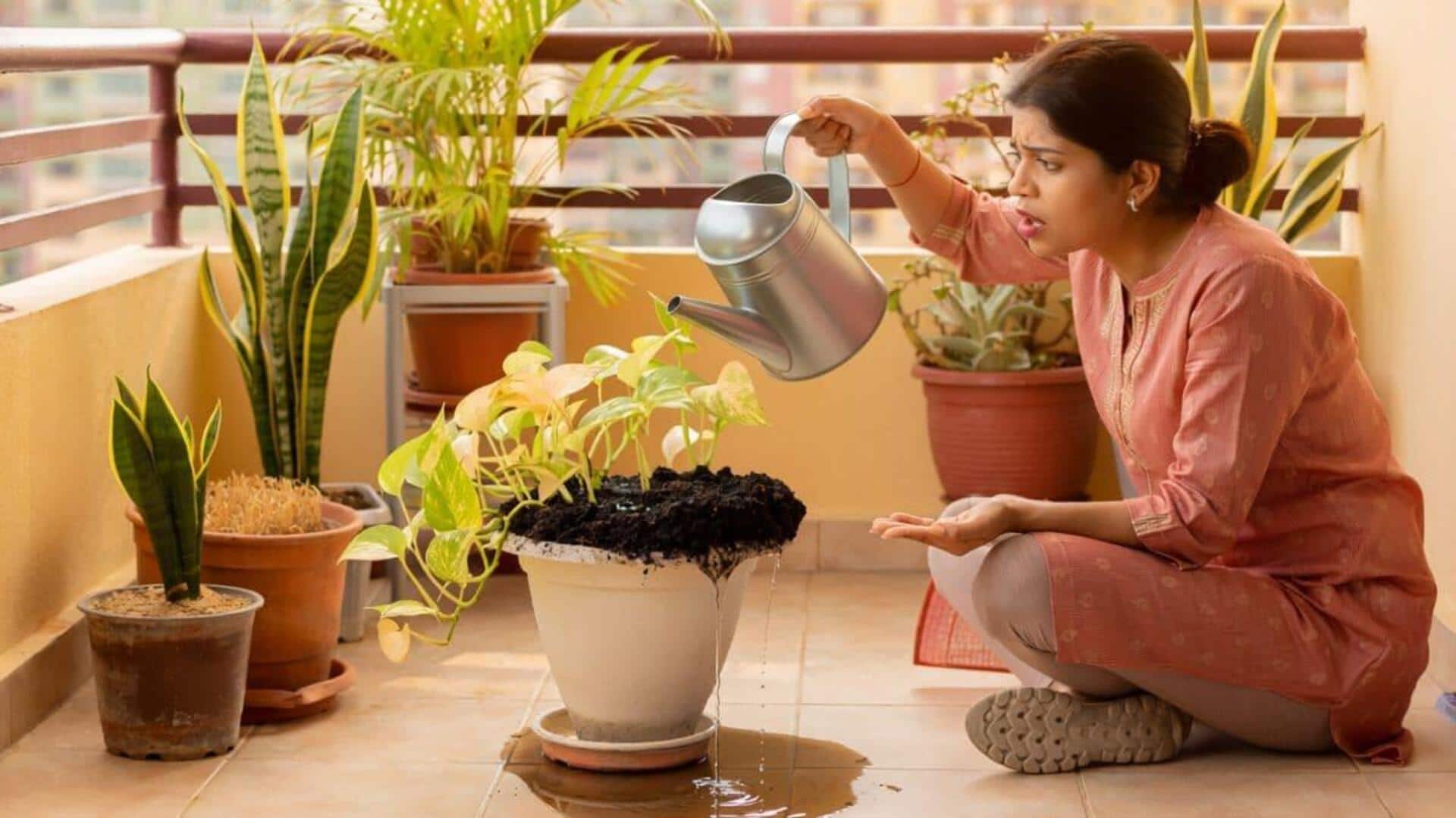 Plant care tips: అతిగా నీరు పోస్తే మొక్కలకు నష్టమే.. ఓవర్‌వాటరింగ్‌ లక్షణాలివే!