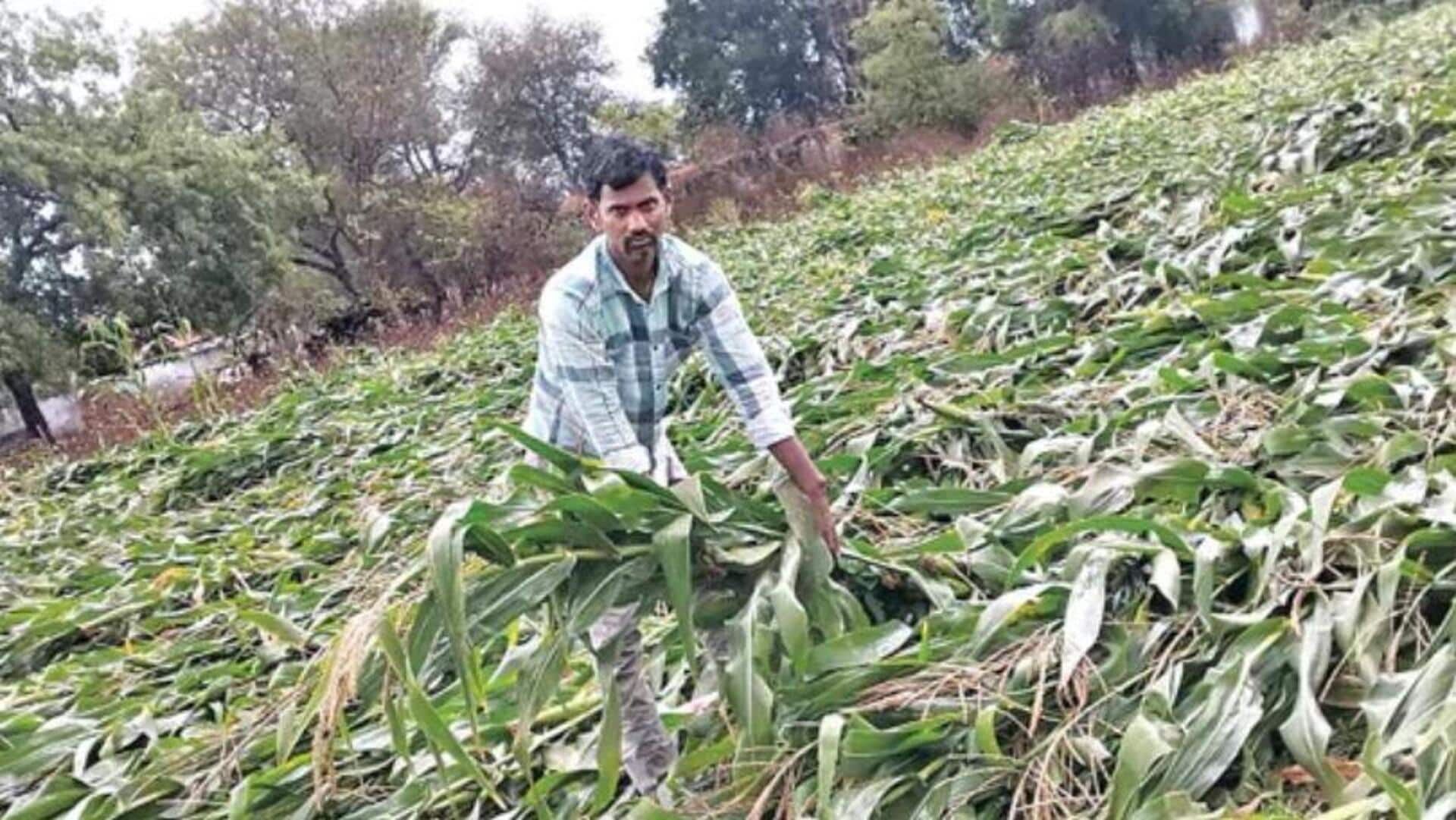 hailstones: తెలంగాణలో వడగళ్ల వాన విజృంభణ.. రైతులకు భారీ ఆర్థిక నష్టం