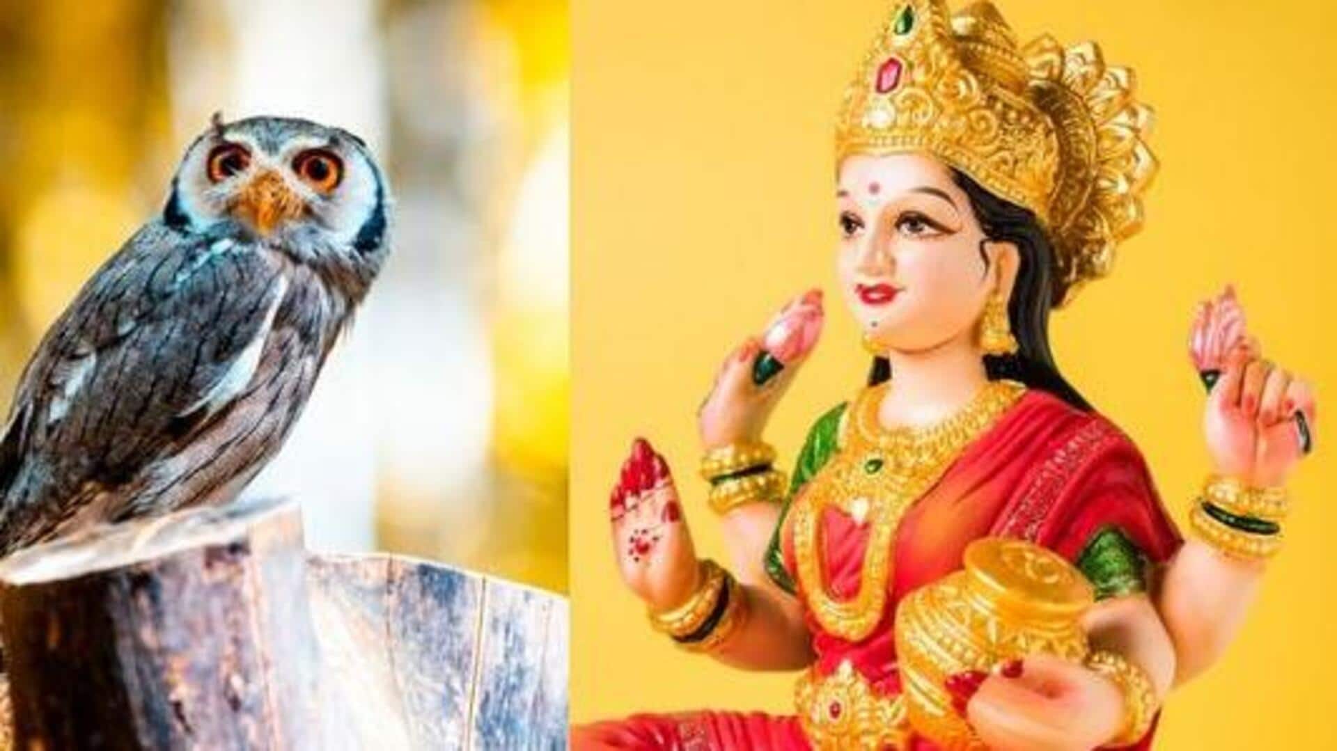 Diwali 2025: దీపావళి రోజున వీటిని చూస్తే అదృష్టం మీ వెంటే ఉంటుంది