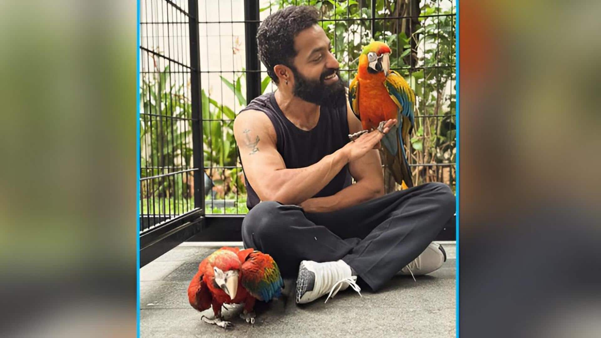 NTR: పుట్టినరోజున కొత్త అతిథులను పరిచయం చేసిన తారక్