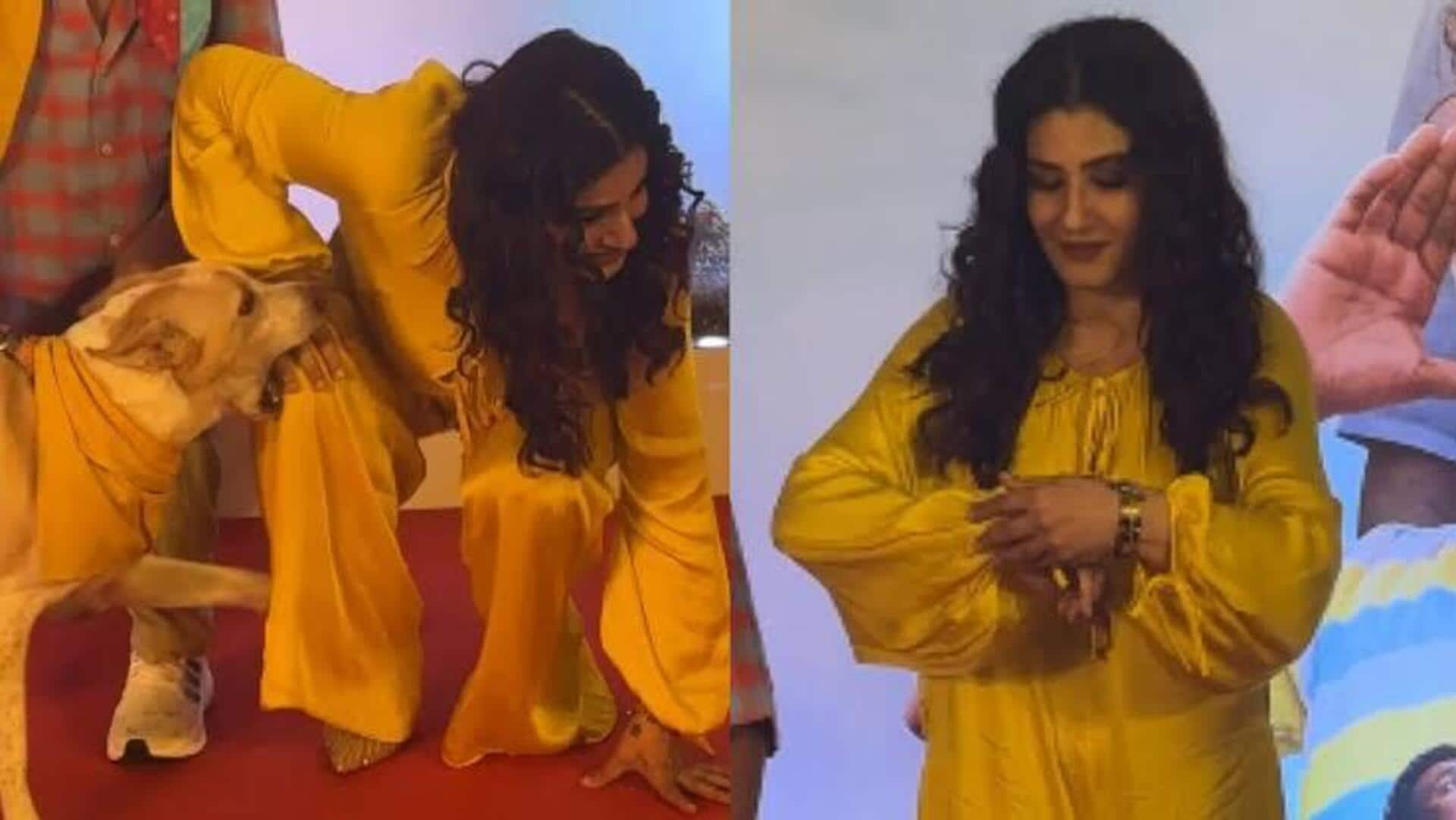 Raveena Tandon: అందరూ చూస్తుండగానే.. స్టార్ నటి రవీనా టాండన్‌పై కుక్క అటాక్! చివరి క్షణంలో తప్పిన పెను ప్రమాదం..