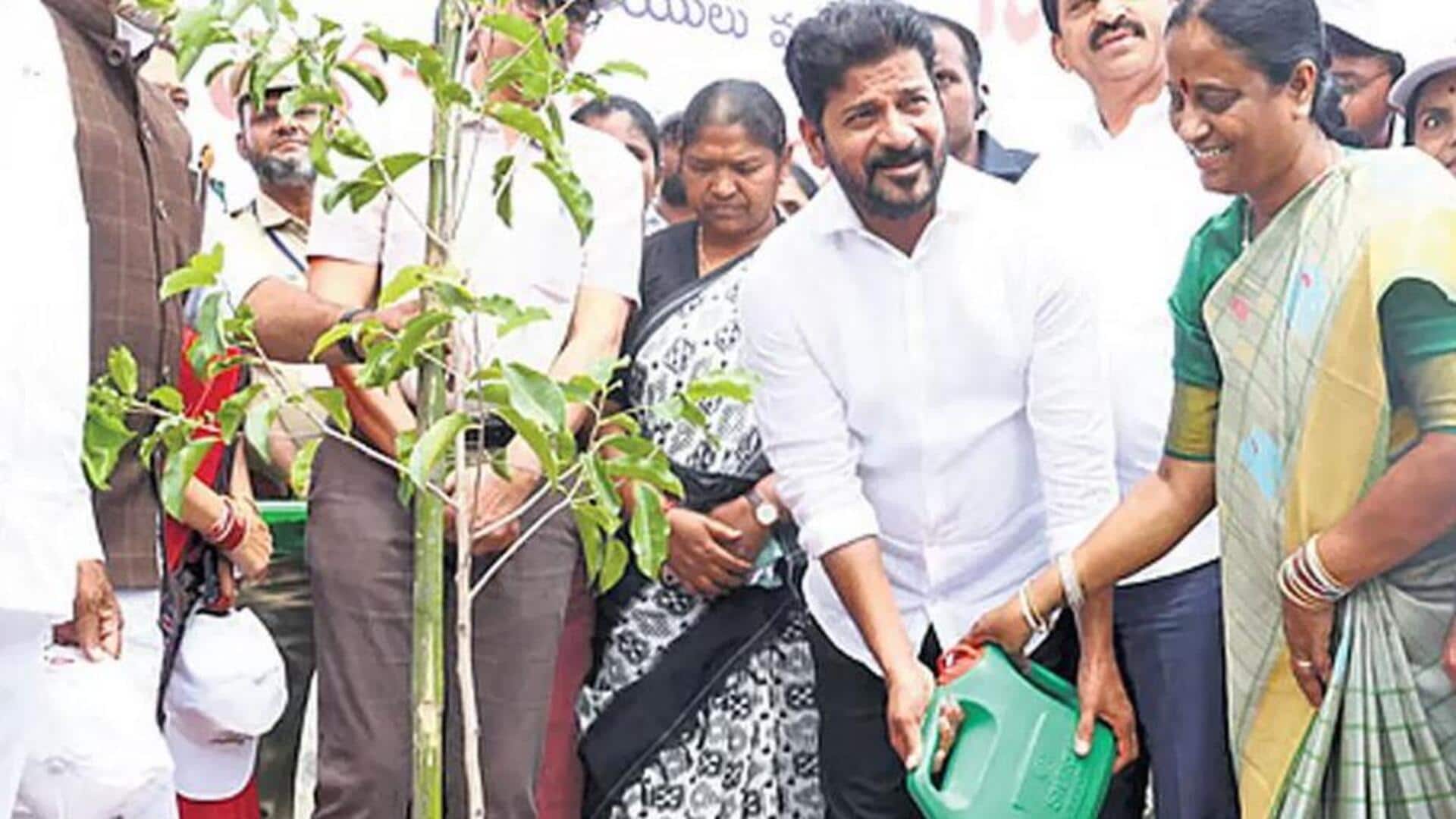 Van Mahotsav: నేటి నుంచి వన మహోత్సవం.. సీఎం రేవంత్తో ప్రారంభోత్సవం! Van Mahotsav: నేటి నుంచి వన మహోత్సవం.. సీఎం రేవంత్తో ప్రారంభోత్సవం!