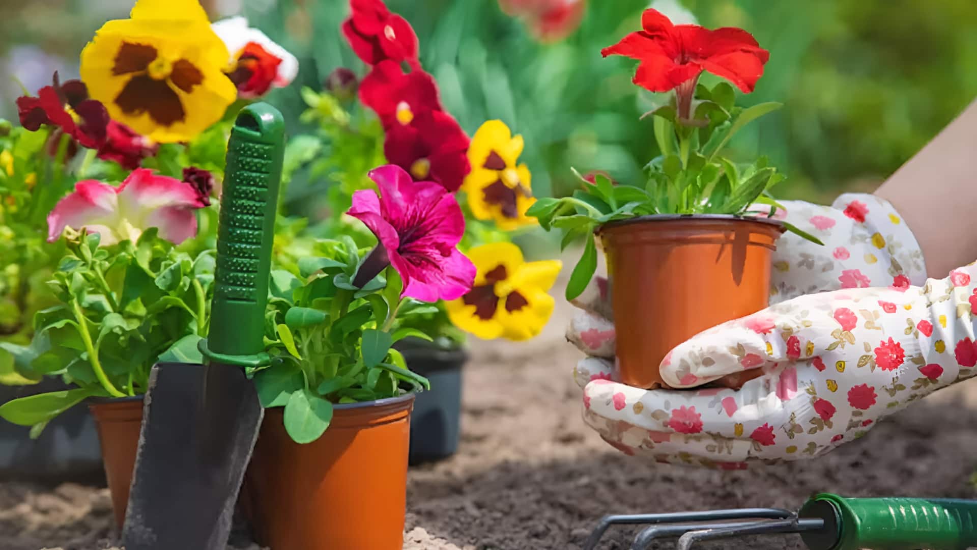 Smart Gardening Tips: తక్కువ ఖర్చుతో తోట సంరక్షణ.. ఇవే సులభ చిట్కాలు