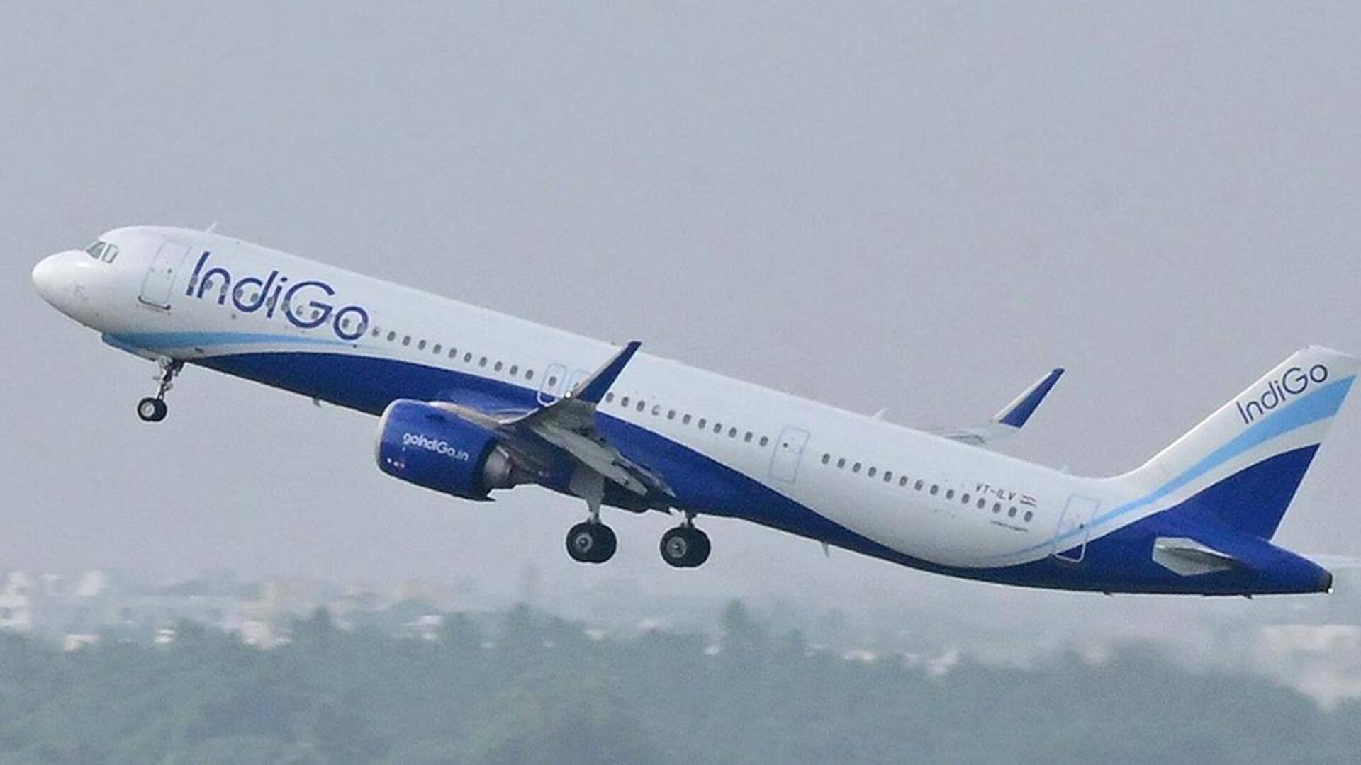 IndiGo: ఇండిగో మాంచెస్టర్, ఆమ్‌స్టర్‌డామ్‌కు నేరుగా విమాన సర్వీసులు