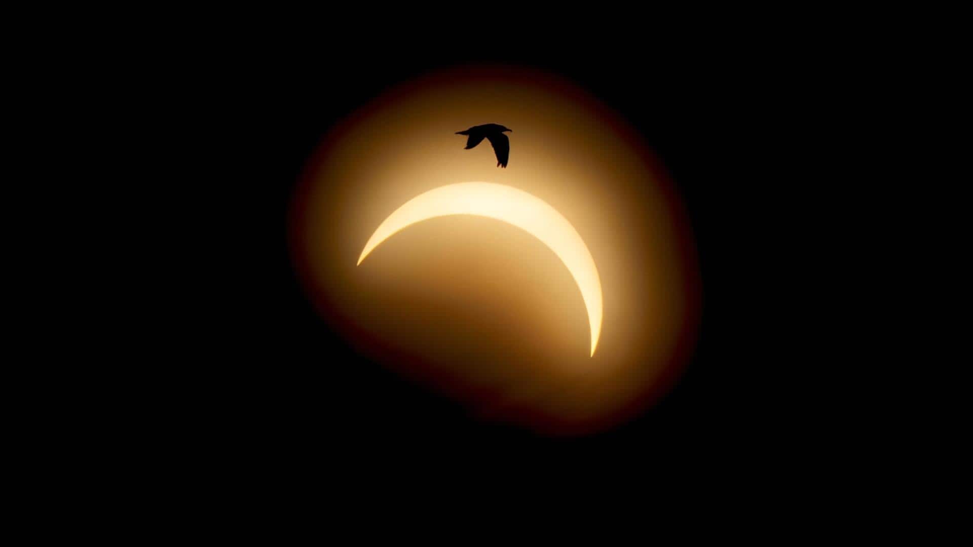 Total Solar Eclipse: స్పెయిన్, రష్యాల్లో పగలే కమ్ముకున్న చీకట్లు.. భారత్‌లో ఎందుకు కనిపించలేదంటే?