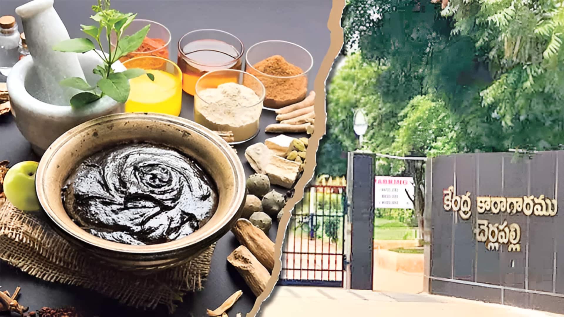 Telangana: కారాగారాల్లో ఆయుర్వేద చికిత్సాలయాలు.. చంచల్‌గూడ, చర్లపల్లి జైళ్లలో ఏర్పాటుకు సన్నాహాలు