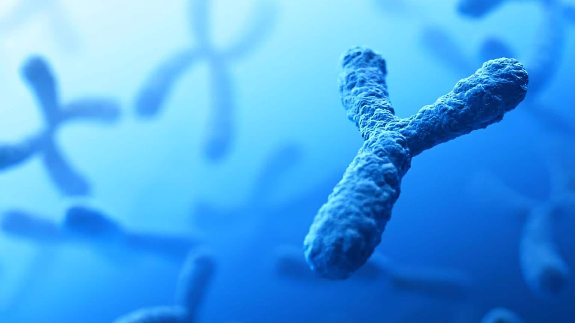 Y Chromosome: కనుమరుగవుతున్న వై క్రోమోజోమ్.. నిజంగానే ముప్పేనా?