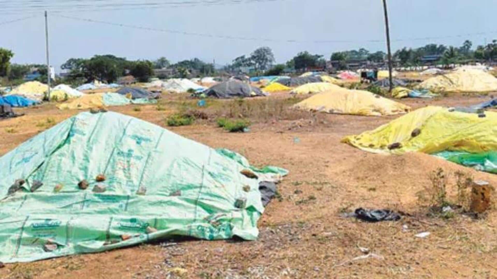 Telangana: ధాన్యంతో నిండిన కేంద్రాలు.. యాసంగి వరి కొనుగోళ్లకు బ్రేకులేనా? Telangana: ధాన్యంతో నిండిన కేంద్రాలు.. యాసంగి వరి కొనుగోళ్లకు బ్రేకులేనా?