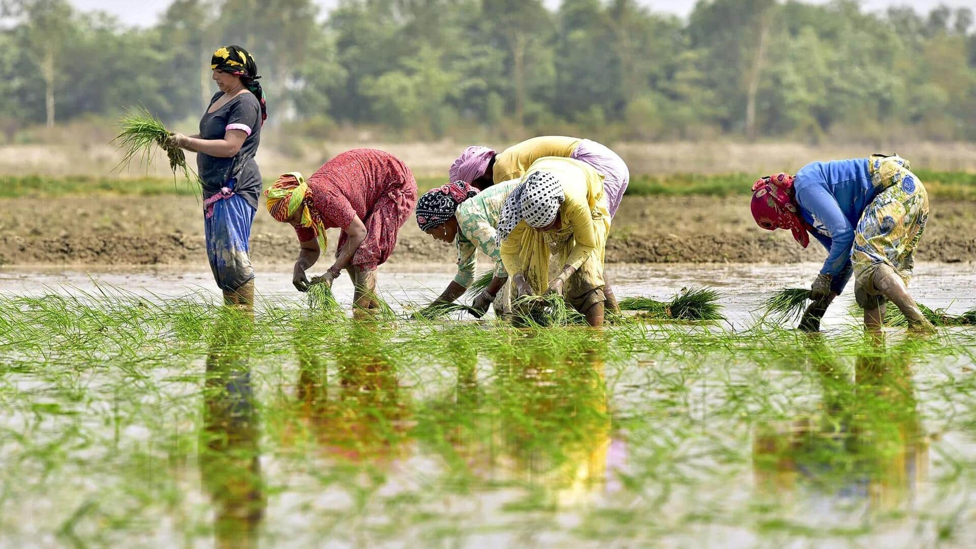 Farmers welfare: చిన్న, సన్నకారు రైతుల ఆదాయం పెంచేందుకు.. నిర్మలమ్మ తీపి కబురు