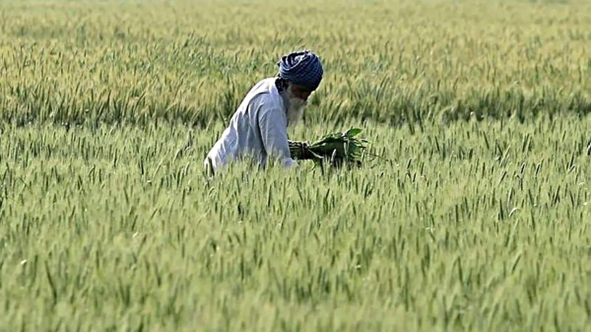 PM Kisan Yojana: పీఎం కిసాన్ పథకంలో వెలుగుచూసిన భారీ అక్రమాలు.. ఒకే కుటుంబంలో భార్యాభర్తలు ఇద్దరికీ సాయం! PM Kisan Yojana: పీఎం కిసాన్ పథకంలో వెలుగుచూసిన భారీ అక్రమాలు.. ఒకే కుటుంబంలో భార్యాభర్తలు ఇద్దరికీ సాయం!