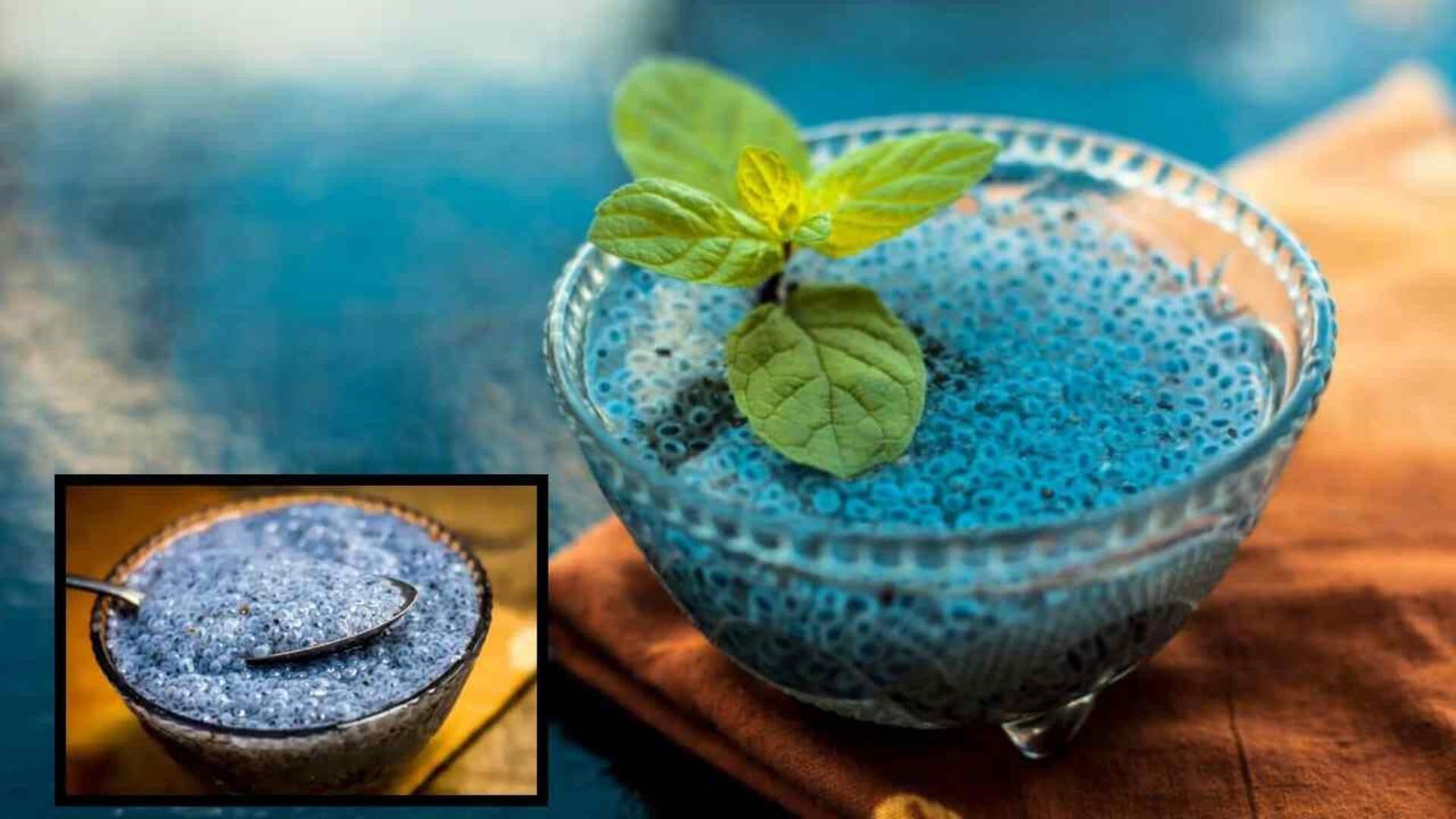 Basil seeds: సబ్జా గింజలతో ఈ 5 రుచికరమైన రెసిపీలు ట్రై చేయండి.. ఆరోగ్యం, రుచి రెండూ మీ సొంతం!