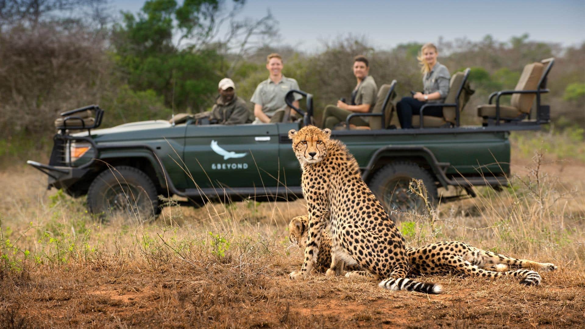 African safari: ఆఫ్రికన్ సఫారీకి వెళ్తున్నారా? ఈ 5 మల్టీ పర్పస్ వస్తువులు తప్పక ఉండాలి!