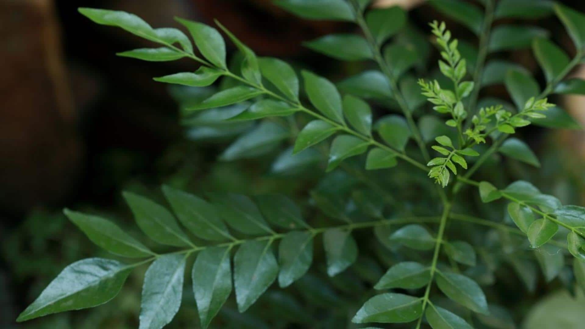 Curry Leaves Benefits: మెరిసే చర్మం,ఆరోగ్యకరమైన జుట్టు కోసం కరివేపాకు 