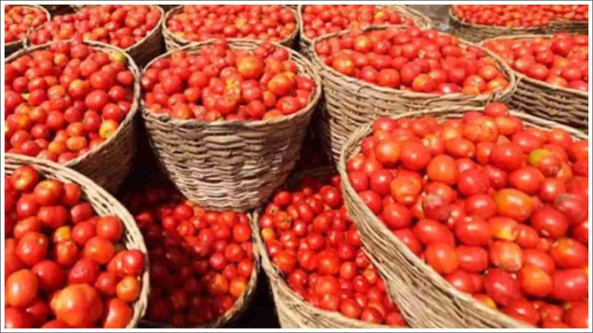 Onions And Tomato Prices: ఆంధ్రప్రదేశ్ లో సబ్సిడీ ధరలకే టమాటా, ఉల్లిపాయలు