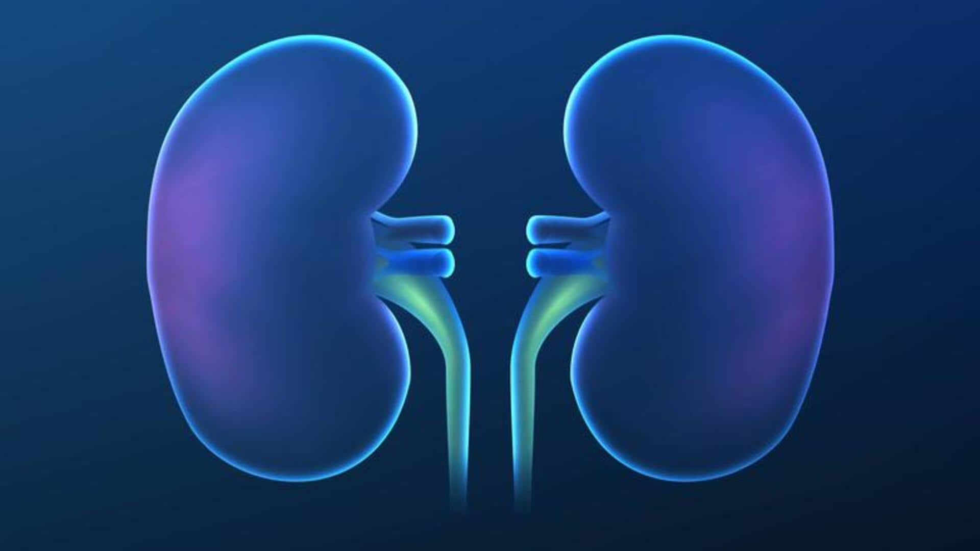Health Tips: కిడ్నీ పనితీరు 50% కంటే తగ్గితే.. శరీరంలో కనిపించే ప్రమాదకర సంకేతాలు ఇవే!