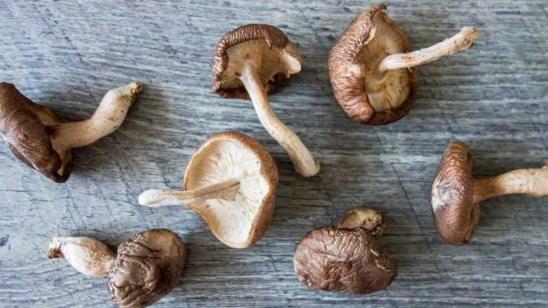 Shiitake mushrooms: ఇంట్లోనే షిటాకే పుట్టగొడుగులు పెంచాలా? ఈ సులభమైన పద్ధతులతో మంచి దిగుబడి పొందండి!