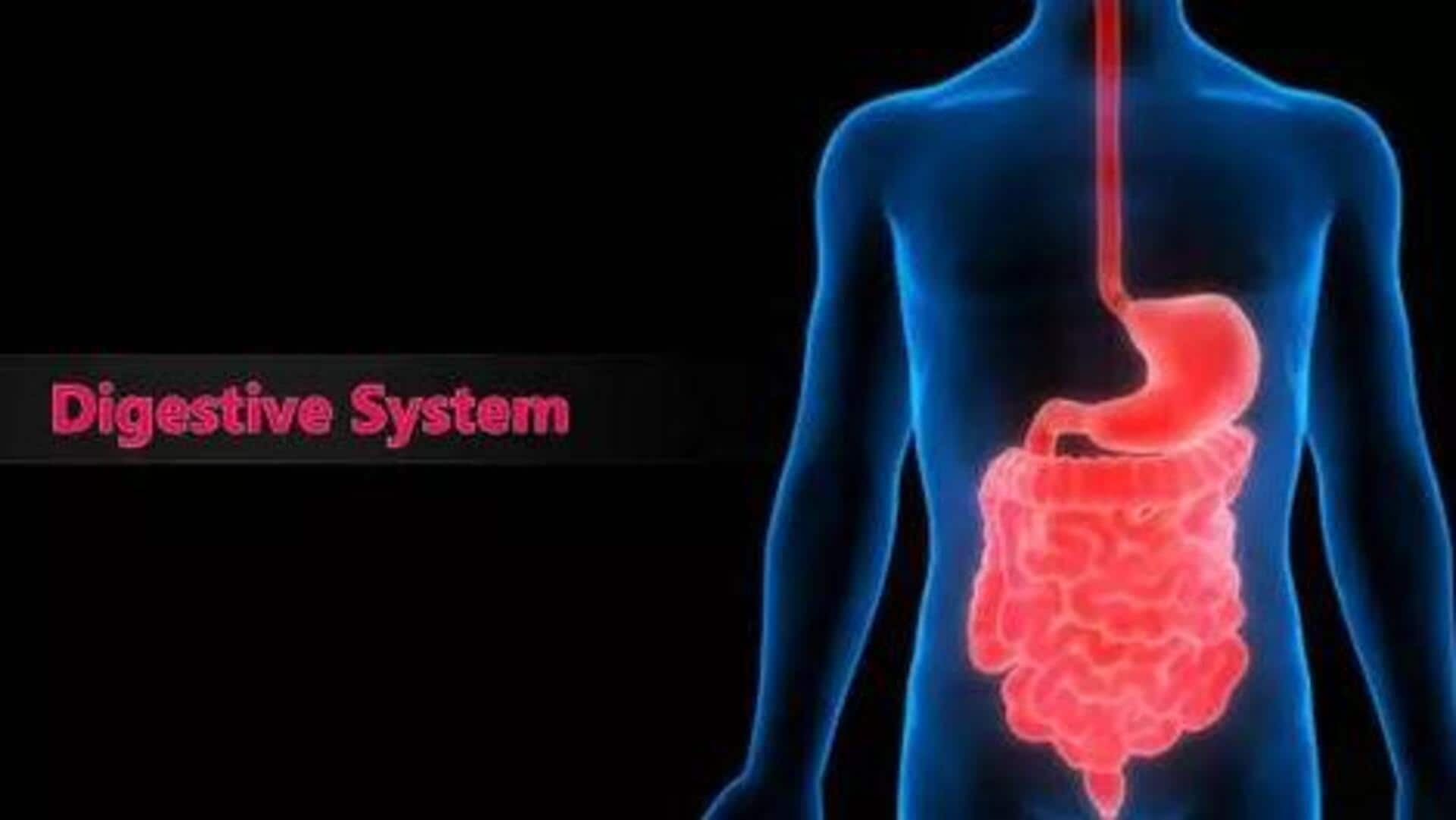 Mesentery:మానవ శరీరంలో కొత్త అవయవం ఆవిష్కరణ.. ఎక్కడ ఉందో తెలిస్తే షాక్!