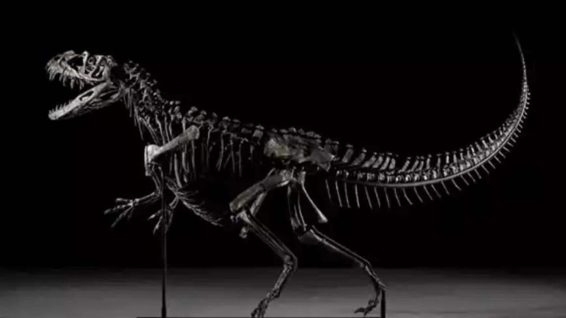 Dinosaur fossil: 150 మిలియన్‌ ఏళ్ల ప్రాచీన డైనోసార్‌ శిలాజం.. రూ.263 కోట్లకు వేలం