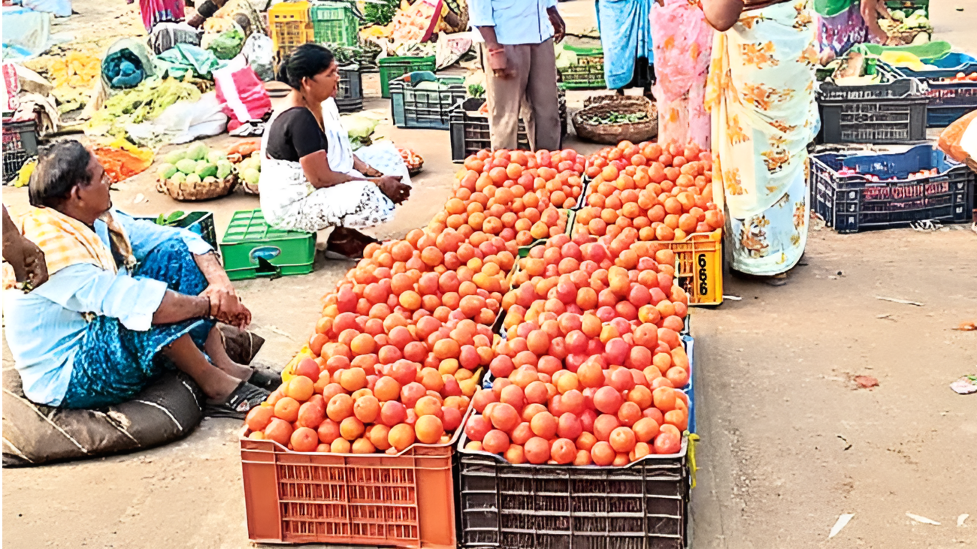 Bobilli: టమాటా రైతులకు కష్టకాలం.. ఎకరాకు 20 టన్నులు.. కానీ లాభం శూన్యం