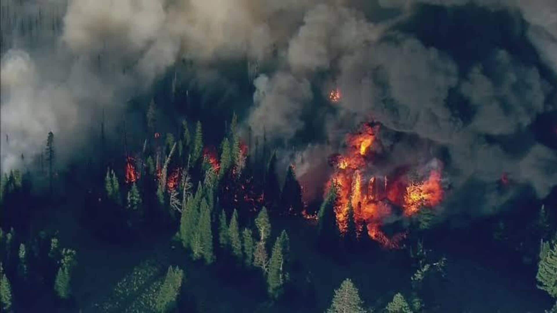 Wildfire : వాషింగ్టన్‌లో కార్చిచ్చు విధ్వంసం.. 4.50 లక్షల ఎకరాలు బూడిద, రెడ్‌ ఫ్లాగ్‌ హెచ్చరిక