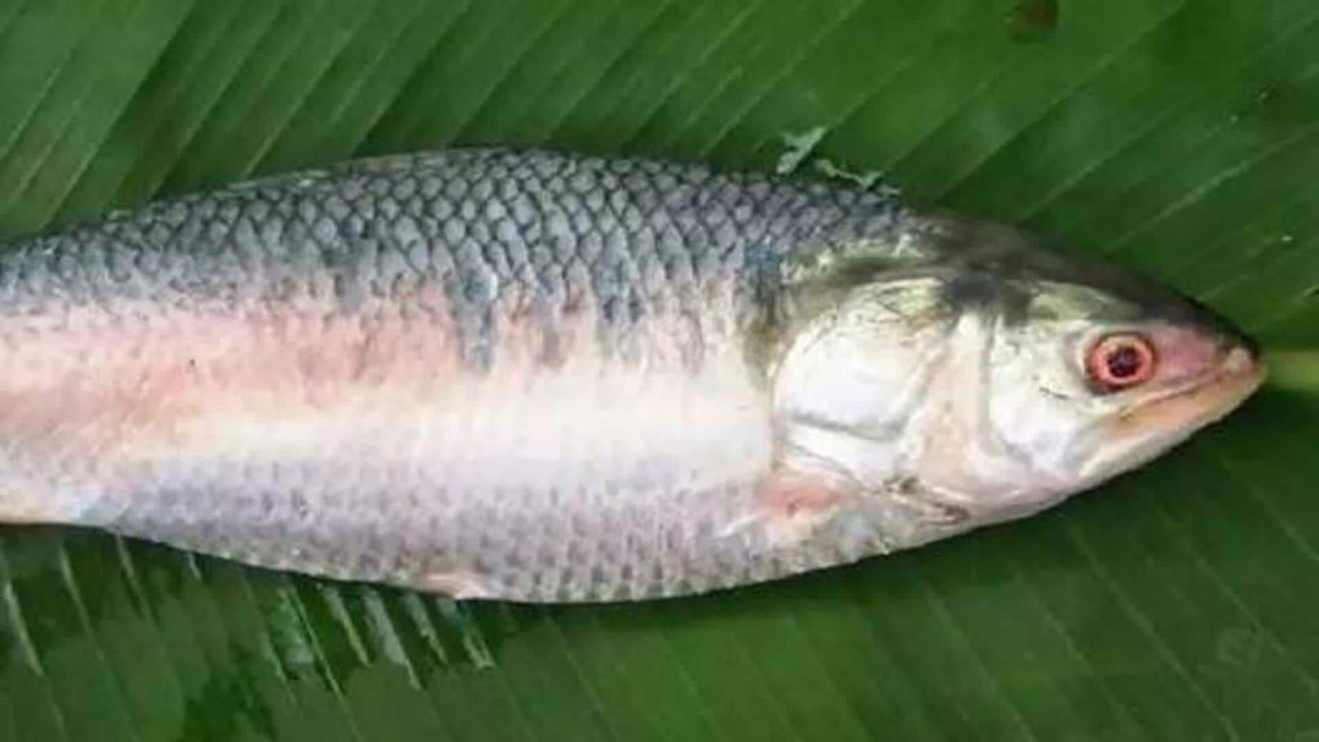 Pulasa Fish Price: యానాంలో పులసల సందడి.. రుచికర చేపకు రికార్డు రేటు!