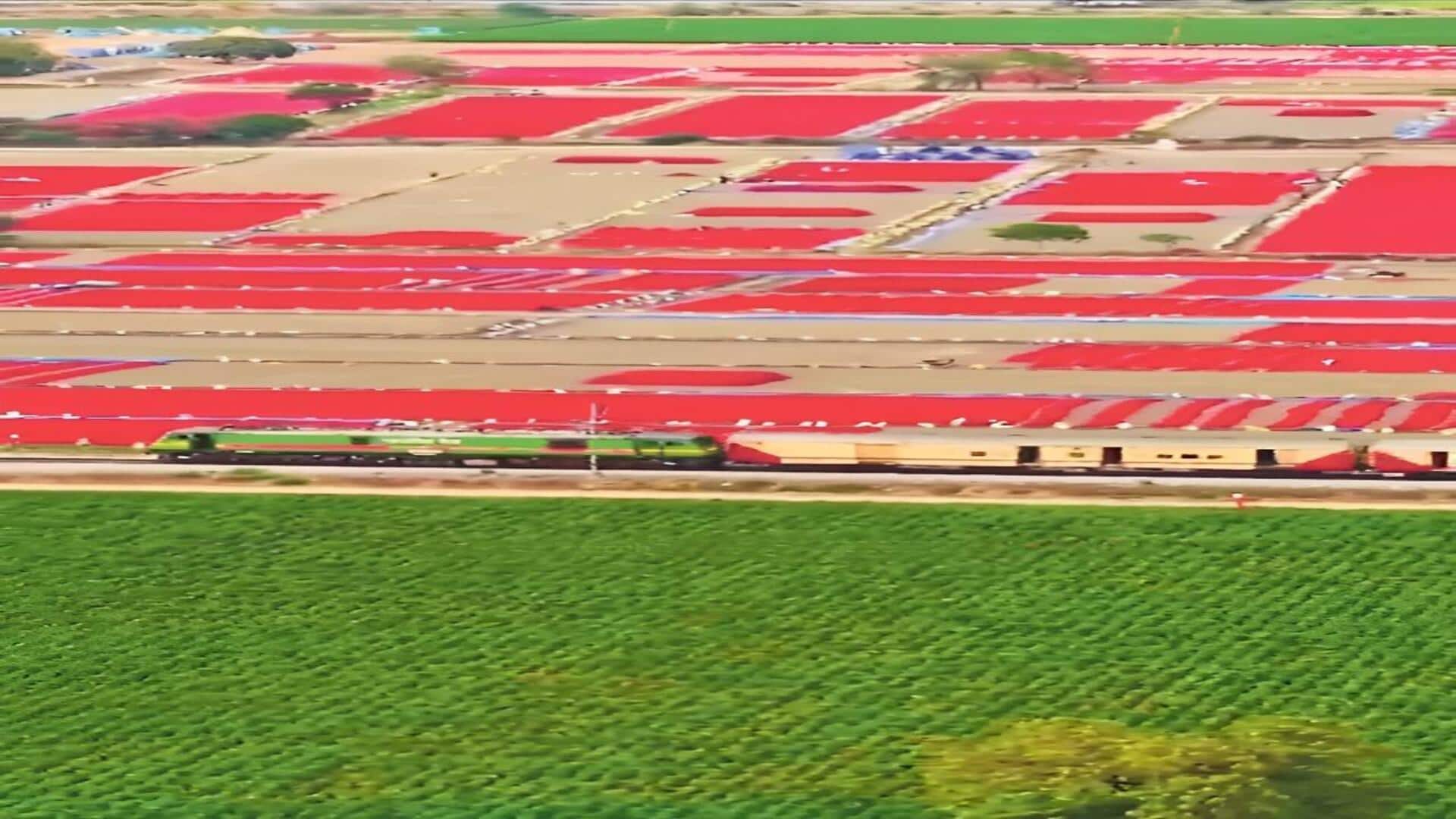 Andhra Pradesh: గుంటూరు మిర్చి పంటపై మహీంద్రా ట్వీట్.. స్పందించిన మంత్రి లోకేశ్