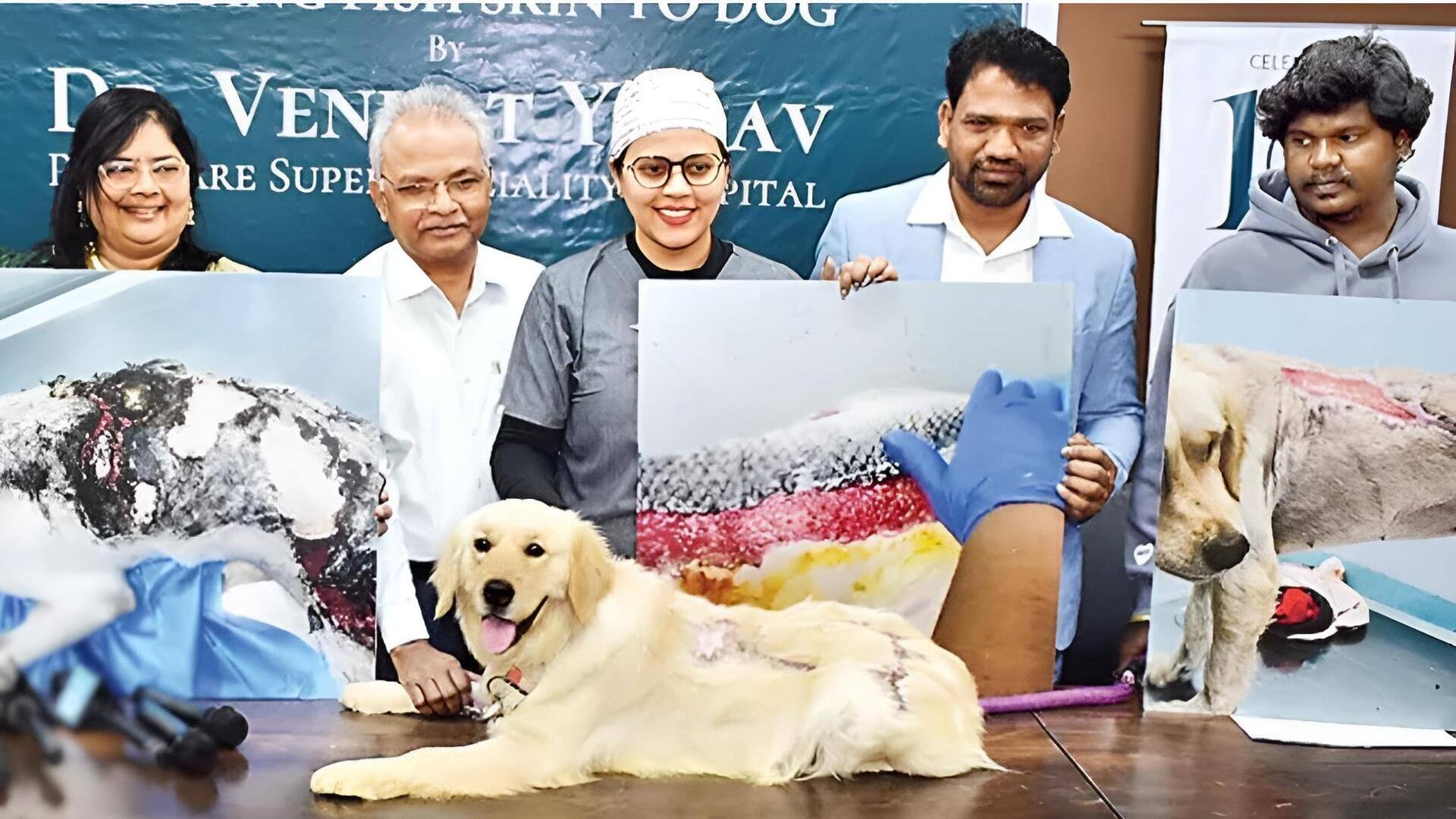 Hyderabad: హైదరాబాద్‌లో పశువైద్య విప్లవం.. చేప చర్మంతో శునకానికి పునర్జన్మ