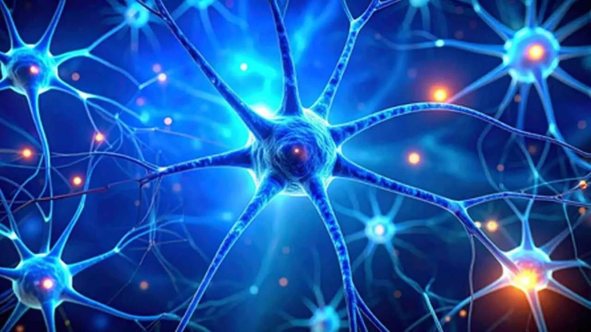 Parkinson's Disease: మెదడు కణాలు అతిగా పనిచేయడమే పార్కిన్సన్స్కు కారణం.. ప్రయోగాల్లో వెల్లడైన కీలక విషయాలు Parkinson's Disease: మెదడు కణాలు అతిగా పనిచేయడమే పార్కిన్సన్స్కు కారణం.. ప్రయోగాల్లో వెల్లడైన కీలక విషయాలు