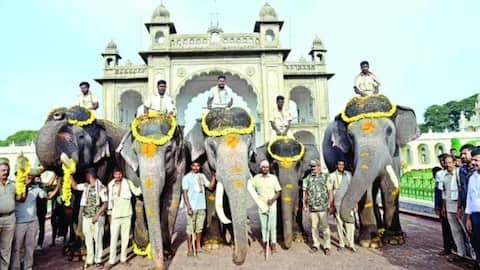 Mysore: రాచనగరిలో దసరా.. జంబూసవారీకి 14 గజరాజులు సిద్దం!