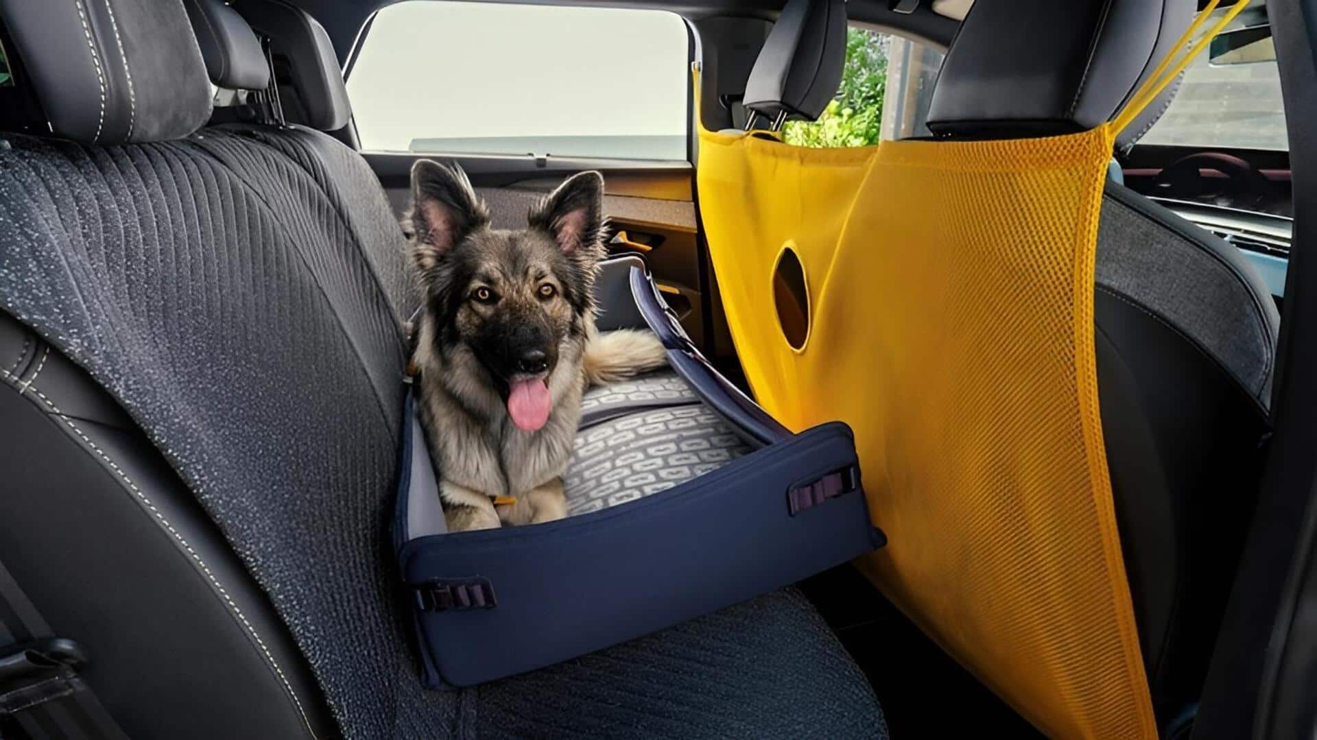 Peugeot E-5008 Dog Edition: పెంపుడు కుక్కల కోసం కారు తీసుకొచ్చిన పెజోట్.. ఈ కారులోని ప్రత్యేకతలు ఏంటంటే..?