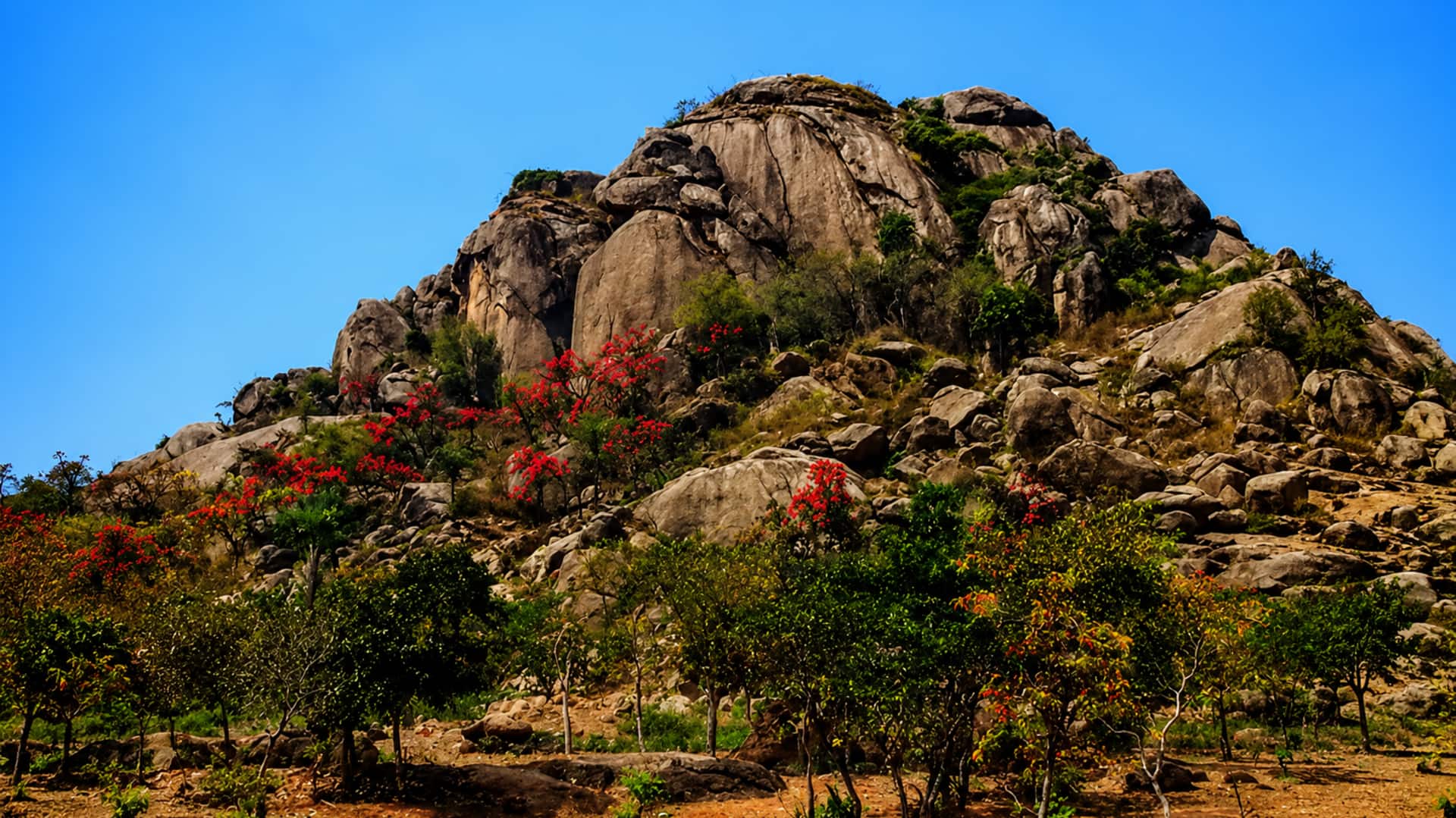 Jharkhand: జార్ఖండ్‌ శిలల్లో దాగిన 350 కోట్ల ఏళ్ల రహస్యం.. నల్లటి చారల్లో దాగివున్న శతాబ్దాల రాయి!  