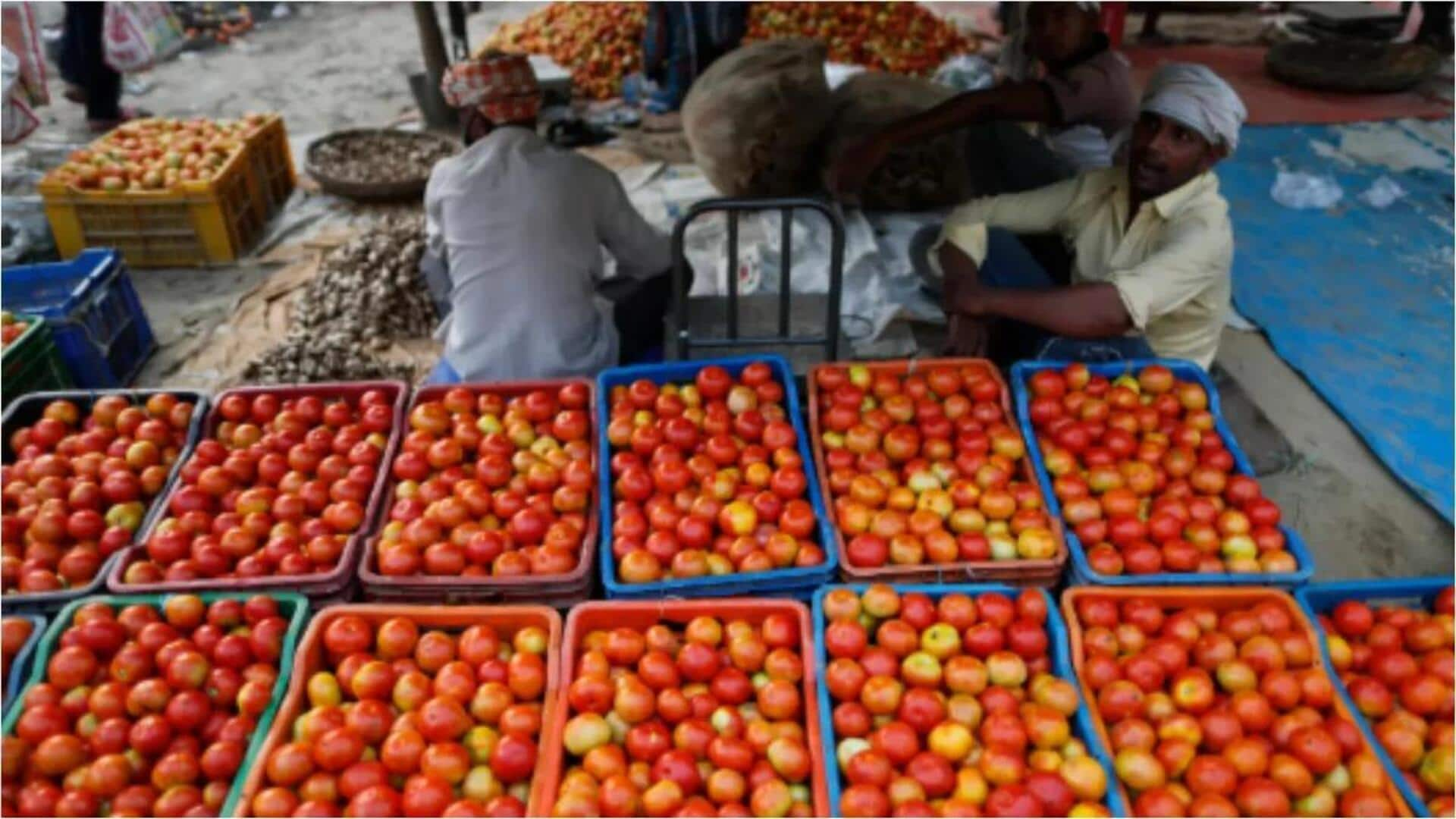 Tomato Purchase: టమాటా ధరల పతనంపై ప్రభుత్వ స్పందన - మార్కెటింగ్ శాఖ ద్వారా కొనుగోలు ప్రక్రియ ప్రారంభం