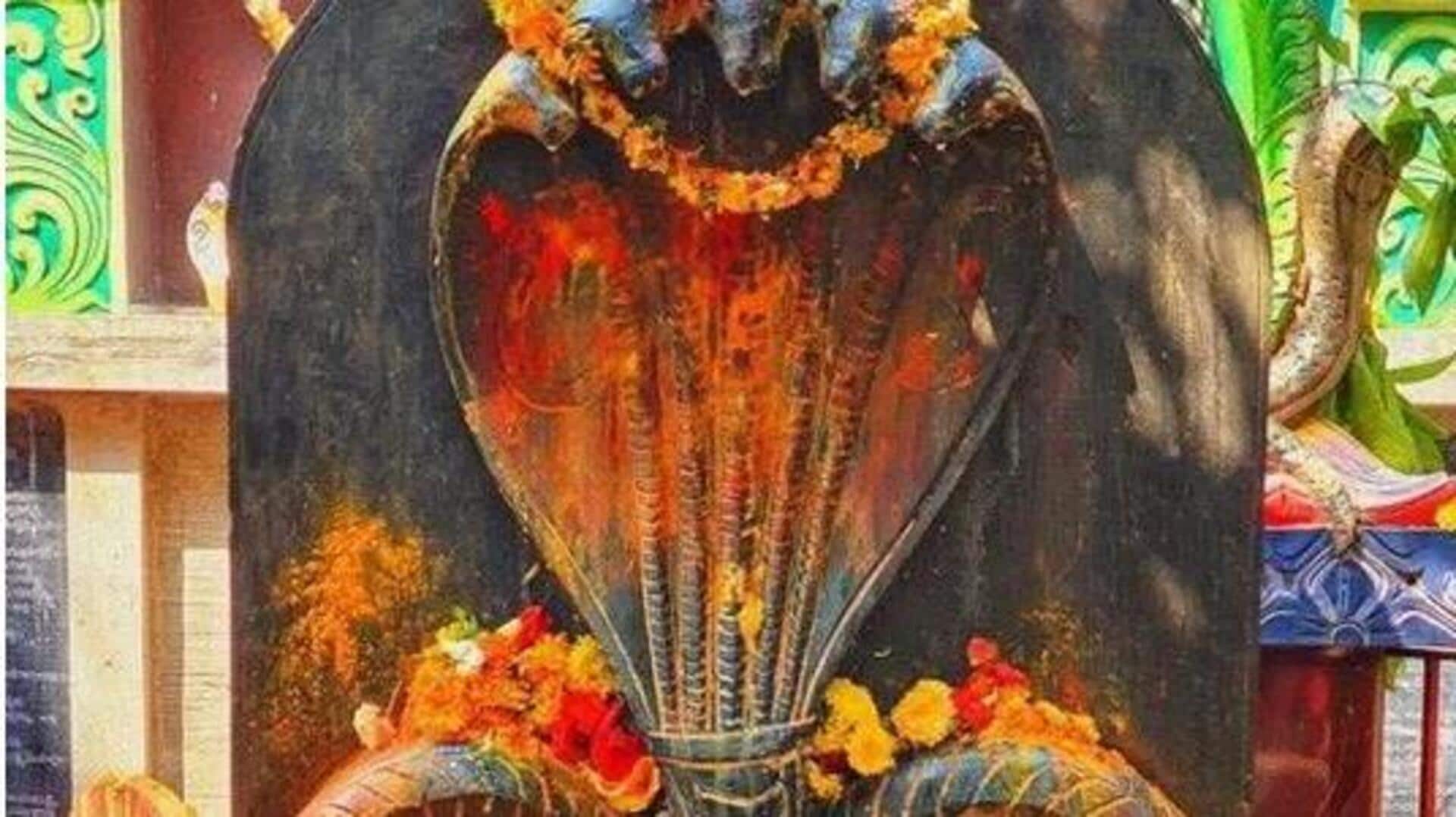 Nagula Chavithi: నాగుల చవితి ప్రత్యేకత.. పుట్టలో పాలు పోయడం వెనుక అద్భుత రహస్యమిదే! Nagula Chavithi: నాగుల చవితి ప్రత్యేకత.. పుట్టలో పాలు పోయడం వెనుక అద్భుత రహస్యమిదే!