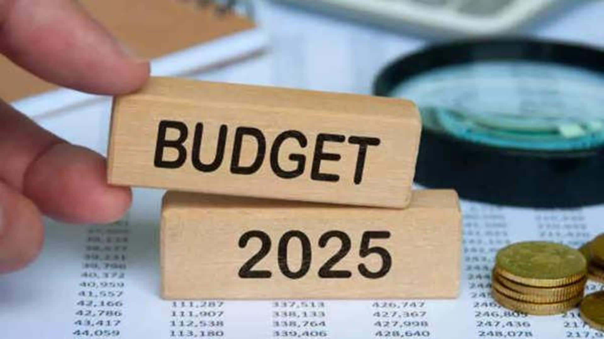 Budget 2025 : బడ్జెట్ 2025 మహిళా పన్ను చెల్లింపుదారులు ఏమి ఆశించవచ్చు 