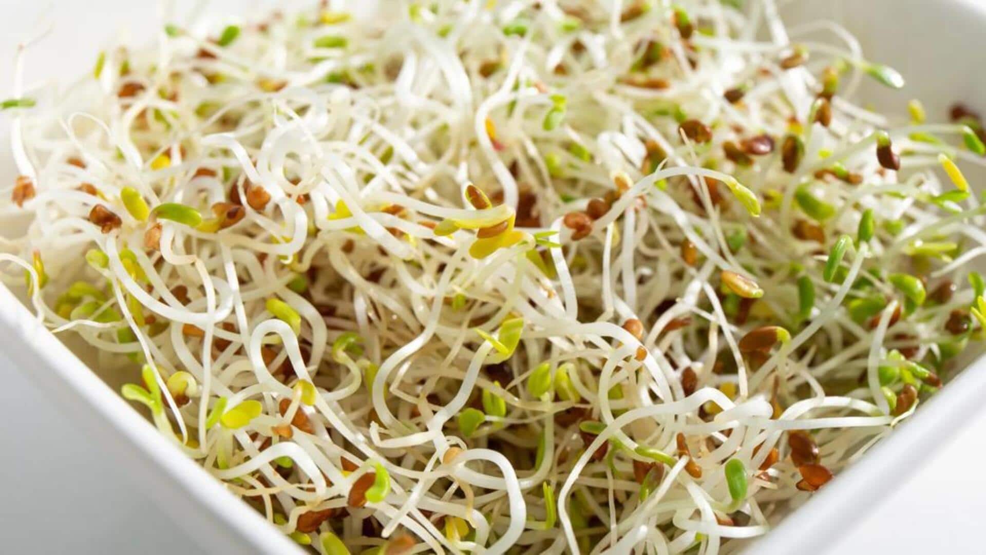 Alfalfa : మీ డైట్‌లో అల్ఫాల్ఫా మొలకలు ఎందుకు చేర్చుకోవాలి?  