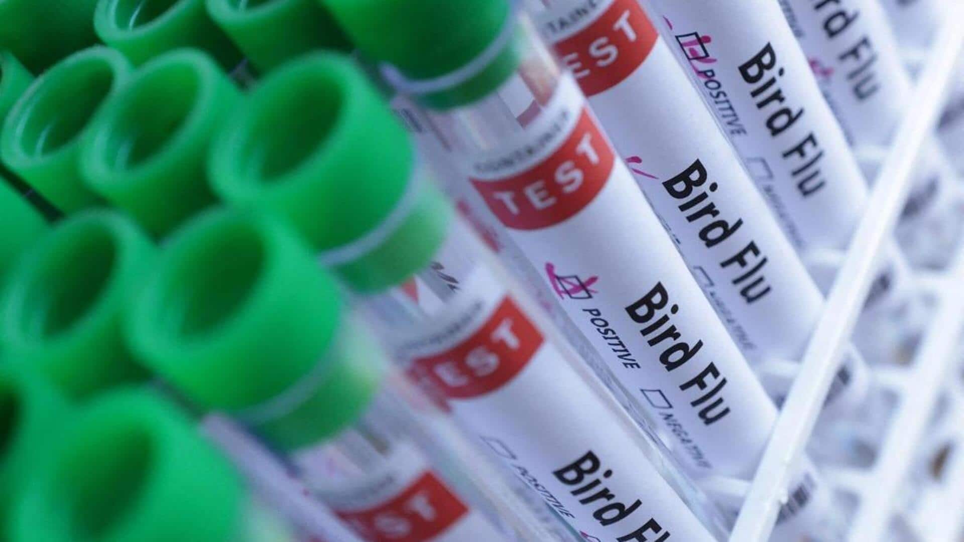 H5 bird flu:  H5 బర్డ్ ఫ్లూ కొత్త వైరస్ టెన్షన్.. కోవిడ్ కంటే డేంజర్.. ఈ జాగ్రత్తలు తప్పనిసరి..