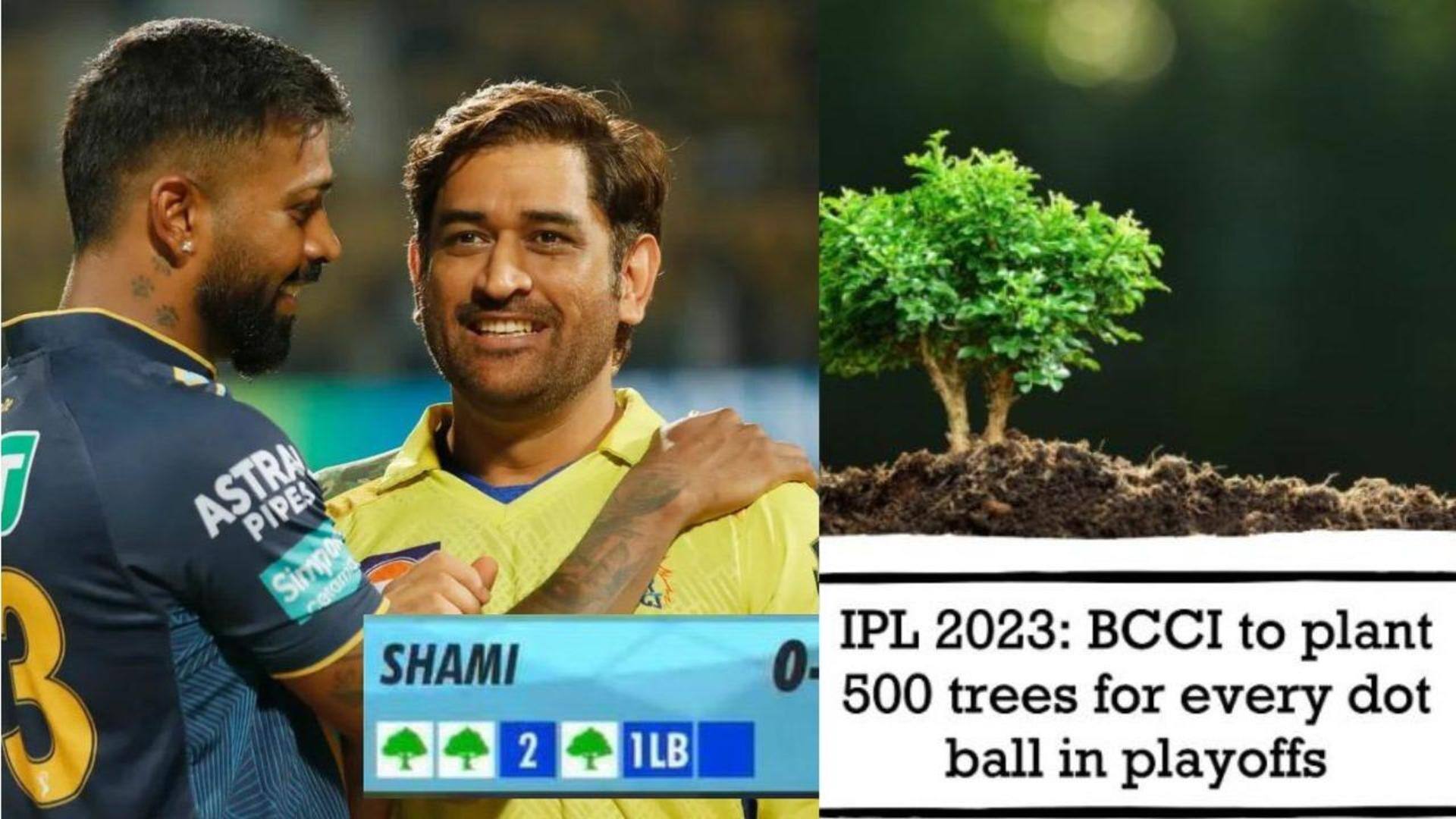 IPL 2023: 84 డాట్ బాల్స్.. 42వేల మొక్కలు నాటనున్న బీసీసీఐ