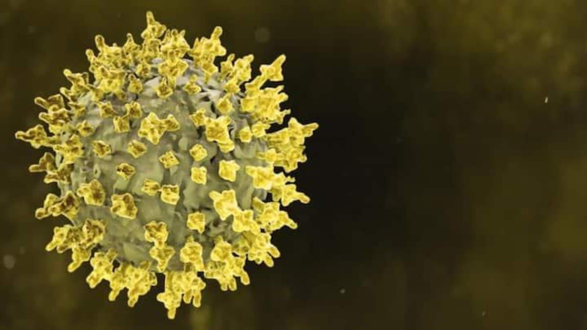 HMPV Virus: నవజాత శిశువులలో వైరస్ ఎందుకు వేగంగా వ్యాపిస్తోంది?