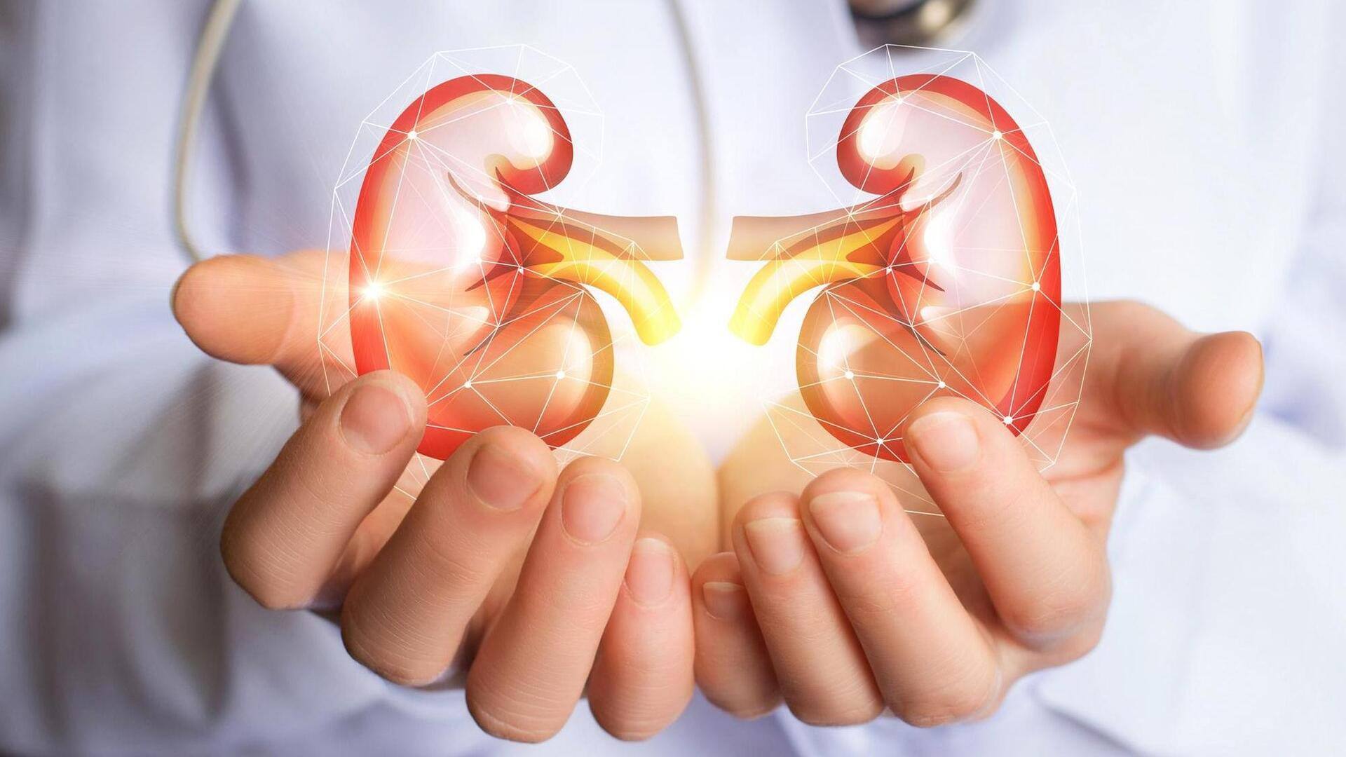 Kidneys Health: కిడ్నీల ఆరోగ్యంగా ఉండాలంటే.. ఈ ఆహారాలను రోజూ తీసుకోండి 