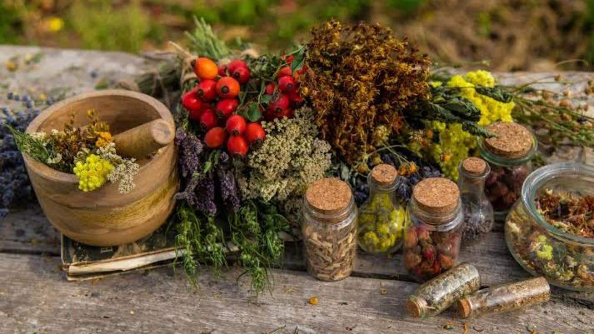 Herbs for Immunity: రోగనిరోధక శక్తిని పెంచే 5 మూలికలు.. మీ డైట్‌లో తప్పక చేర్చుకోండి!
