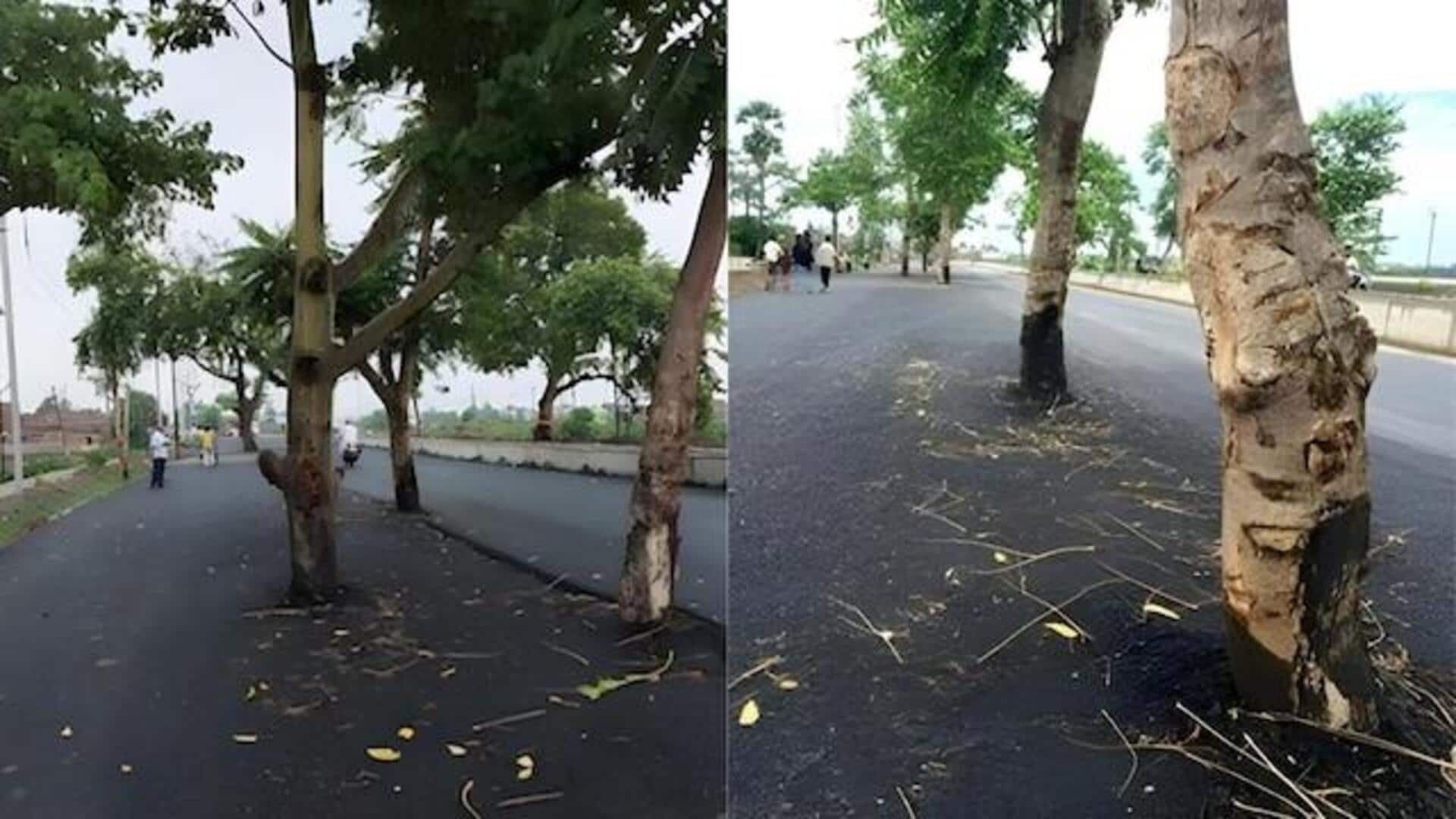 Rs.100 crores road: రూ.100 కోట్లు ఖర్చు చేసి రోడ్డు.. కానీ రోడ్డుకి మధ్యలో చెట్లు వదిలేశారు! Rs.100 crores road: రూ.100 కోట్లు ఖర్చు చేసి రోడ్డు.. కానీ రోడ్డుకి మధ్యలో చెట్లు వదిలేశారు!