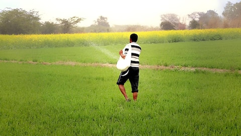 Andhra Pradesh: ఏపీలోని కౌలు రైతులకు శుభవార్త.. రూ.లక్ష వరకు తక్కువ వడ్డీ రుణాలు