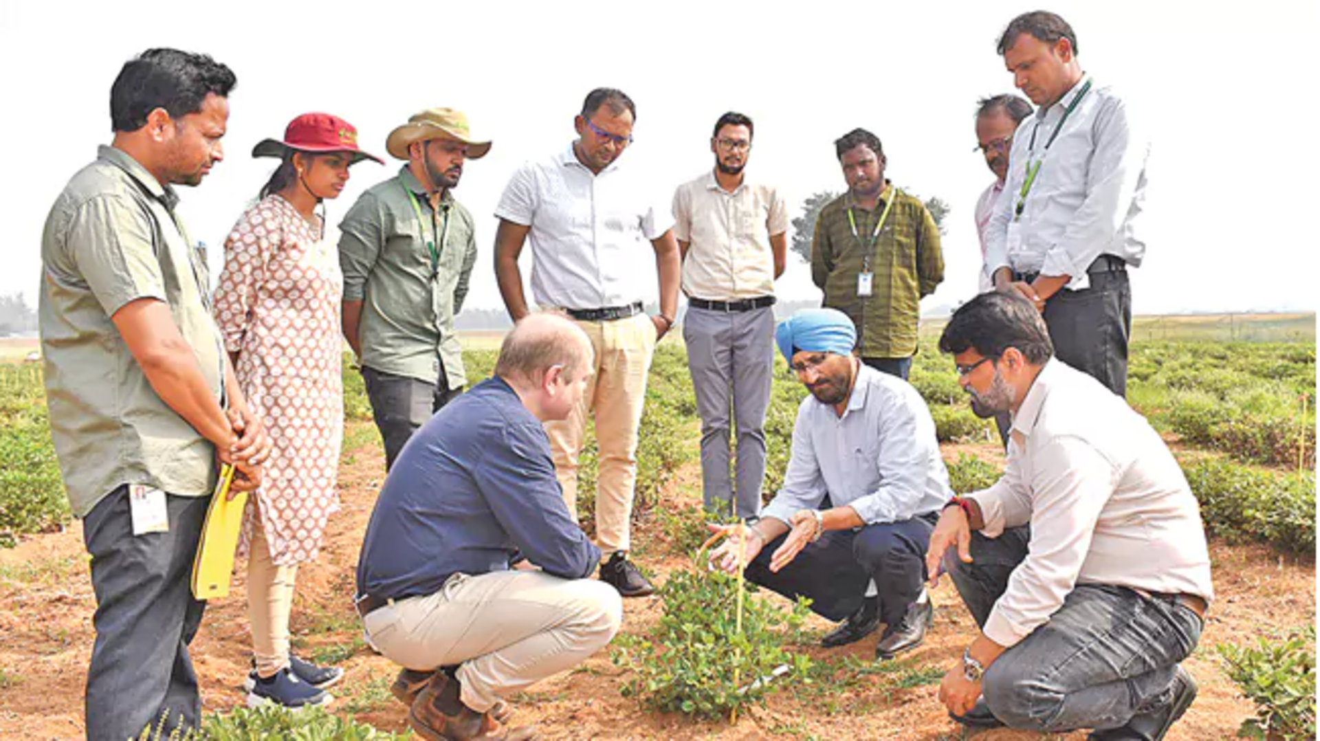 Telangana: వేరుసెనగ రైతులకు శుభవార్త.. కాండం కుళ్లు తెగులను నిరోధించే కీలక జన్యువులు గుర్తింపు Telangana: వేరుసెనగ రైతులకు శుభవార్త.. కాండం కుళ్లు తెగులను నిరోధించే కీలక జన్యువులు గుర్తింపు