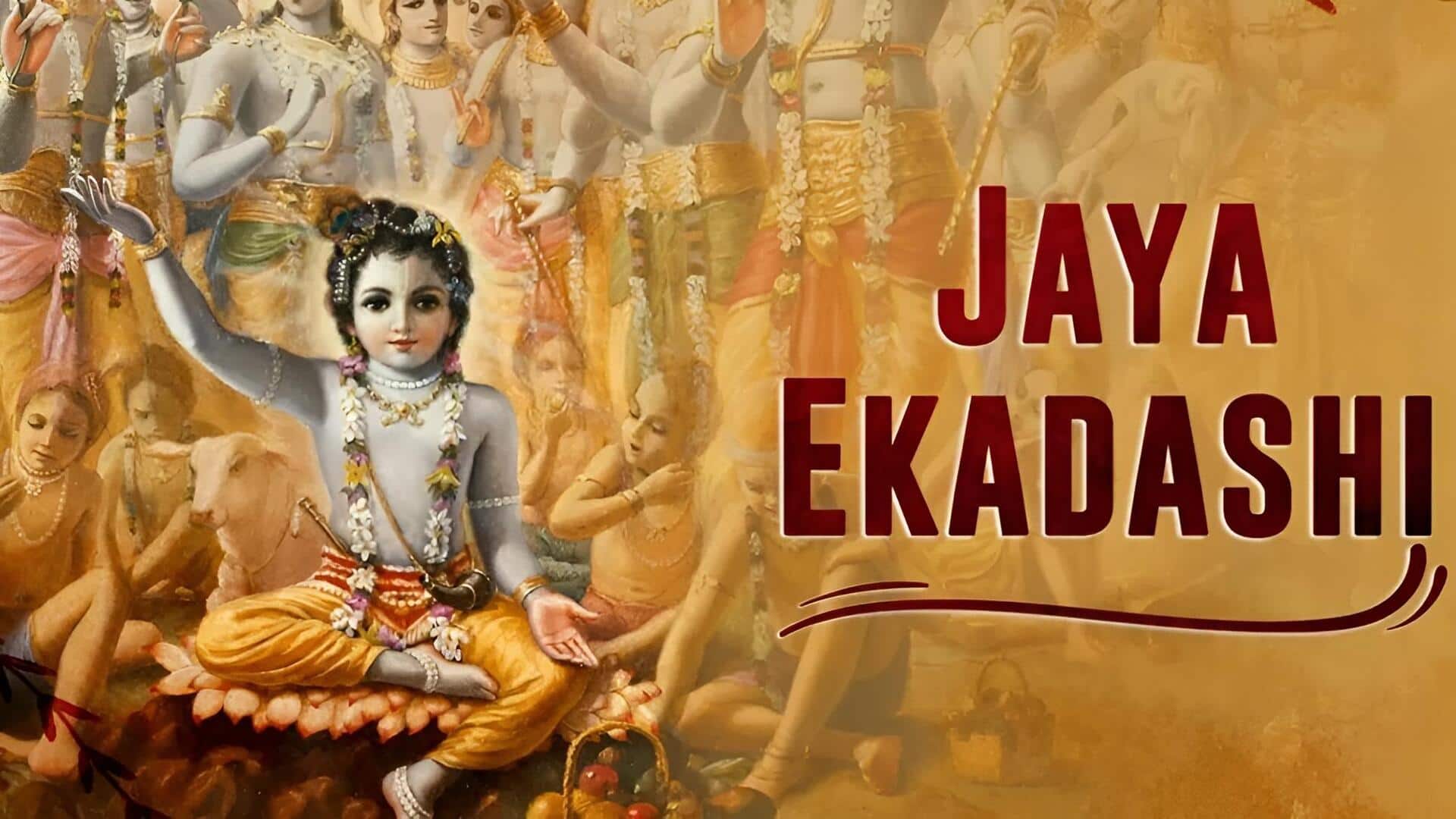 Jaya Ekadashi: జయ ఏకాదశి రోజున ఉపవాసం పాటిస్తున్నారా? అసలు చేయకూడిన పనులివే!