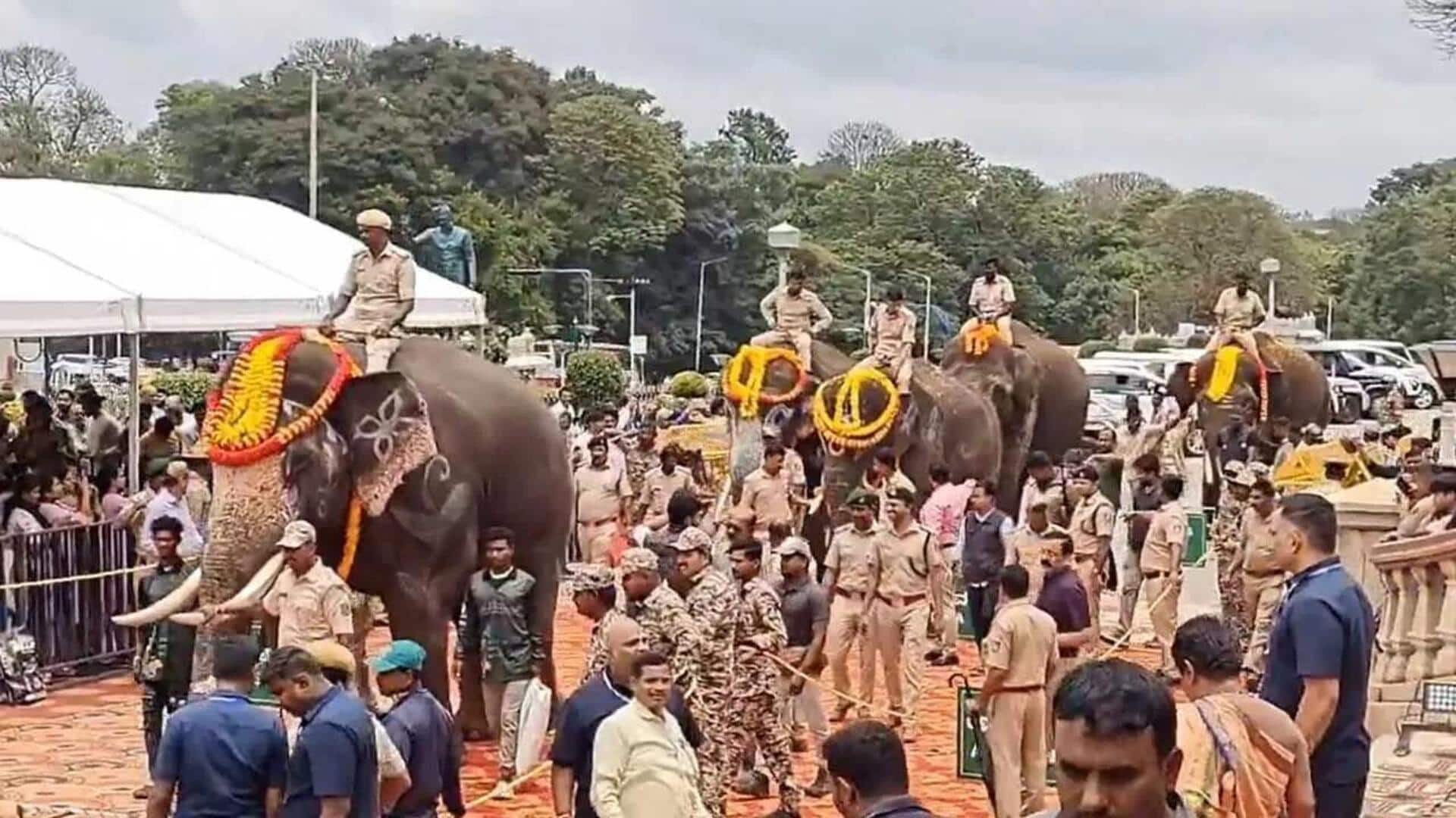 Kumki Elephants: ఏపీకి ఐదు కుంకీ ఏనుగులు.. వాటి పేర్లు ఇవే.. Kumki Elephants: ఏపీకి ఐదు కుంకీ ఏనుగులు.. వాటి పేర్లు ఇవే..
